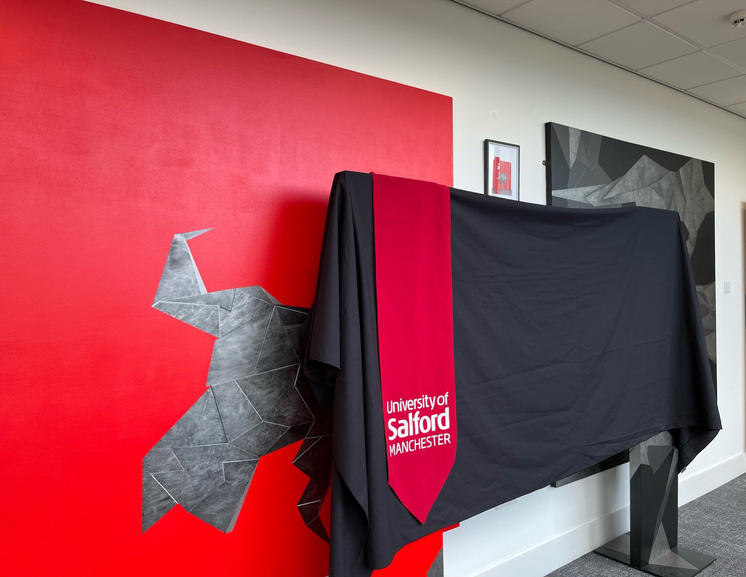 University of Salford installation