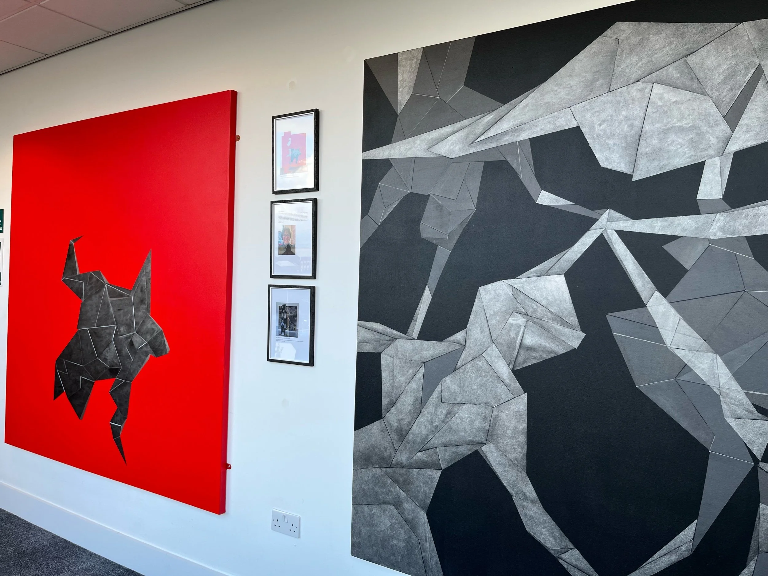 University of Salford installation 