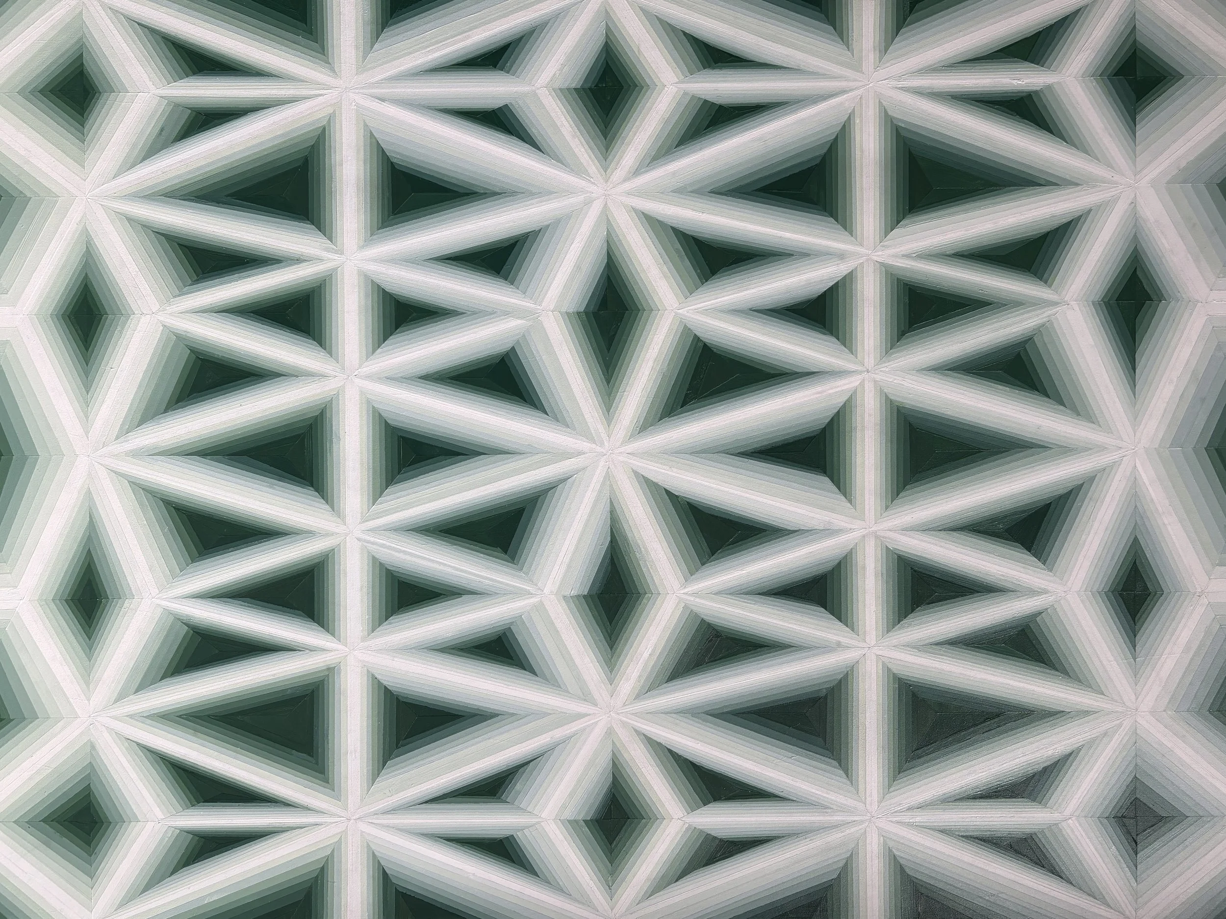 White lotus 