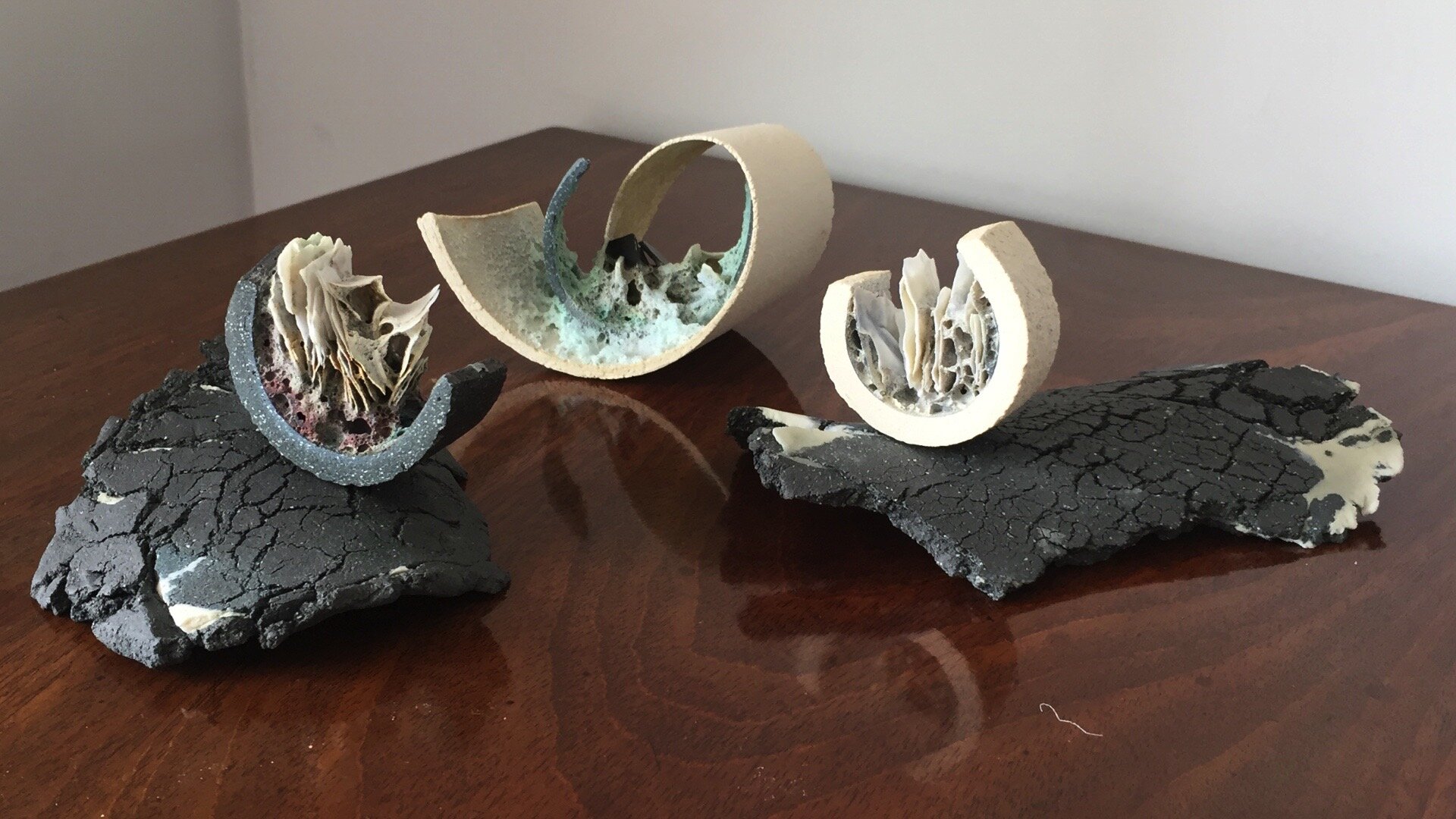 10. Jane Samuel.jpeg