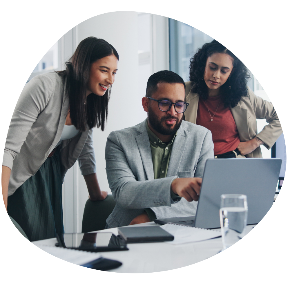 Business Software Consulting Solutions