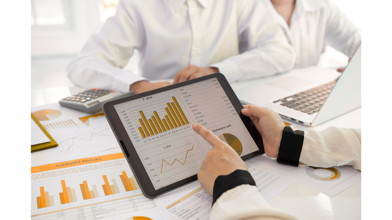 Accounting Software Consultant Firm