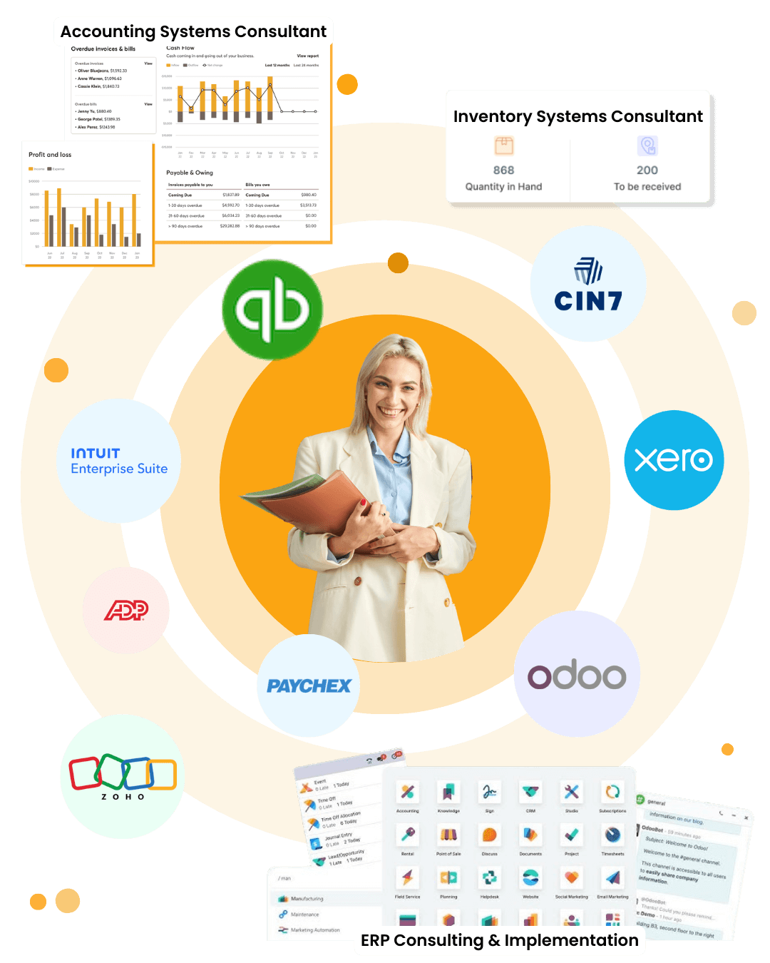 erp systems and accounting consultant