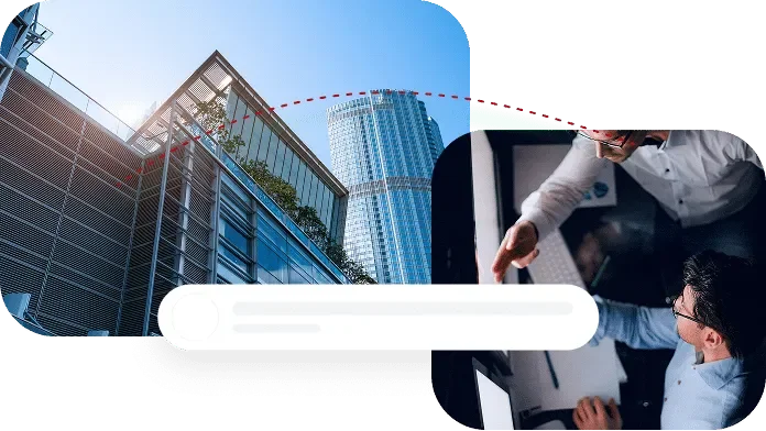 ERP Rescue services done remotely