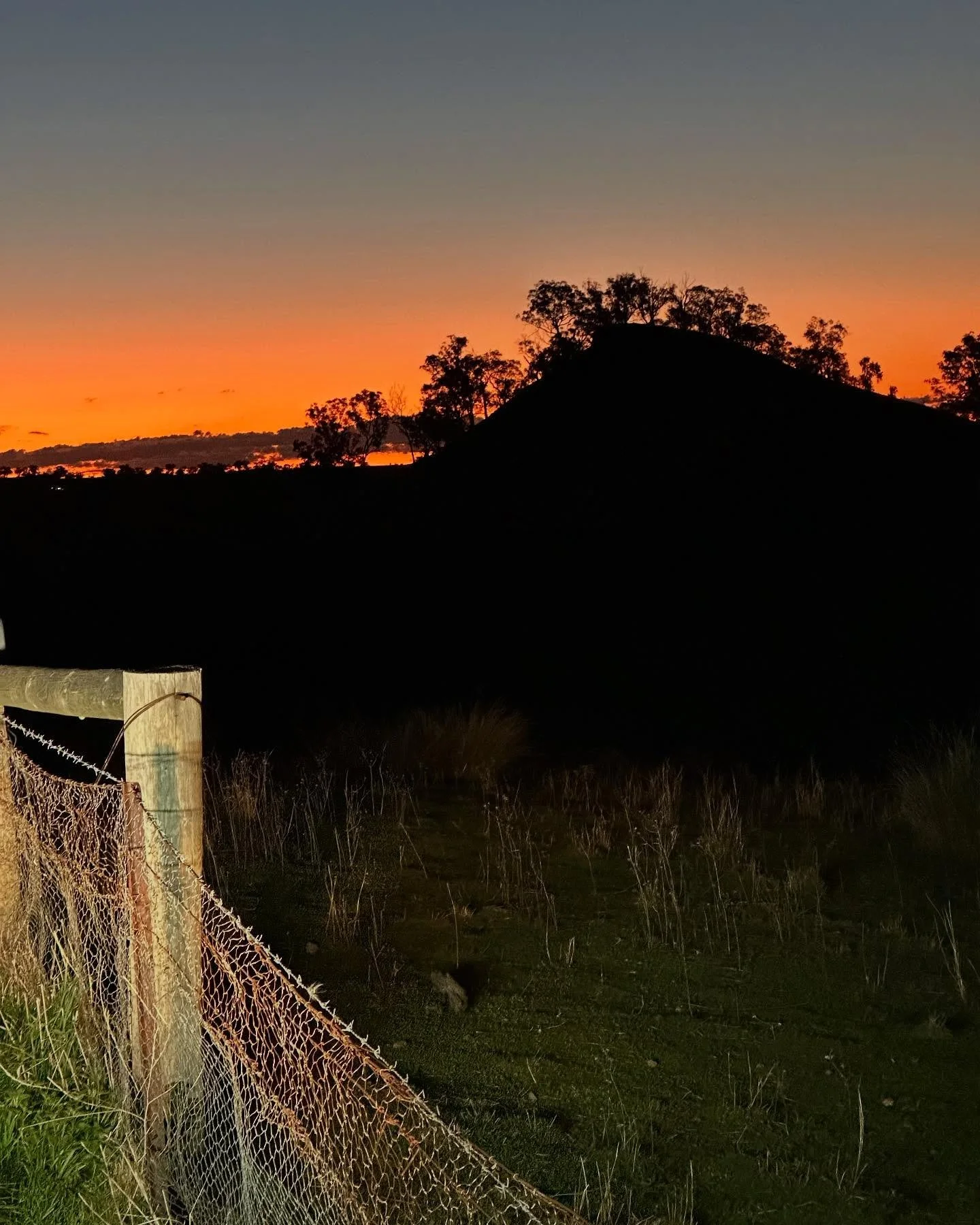 Sometime it&rsquo;s just the blunt deference to objects in the landscape that makes me whole. 

I haven&rsquo;t had time to draw - Here at Millambri with my son Alex - we&rsquo;re too much &lsquo;on the job&rsquo; and cementing relationship, I hope, 