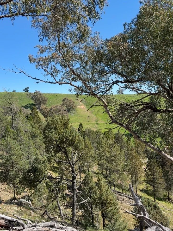 Spent the last few days in the rocky hills above the waterfall - well kept in the company of rocks, trees, wild goats, the sound of bird calls, falling water, frogs, et al.

&hellip;and the sunset on the road home.