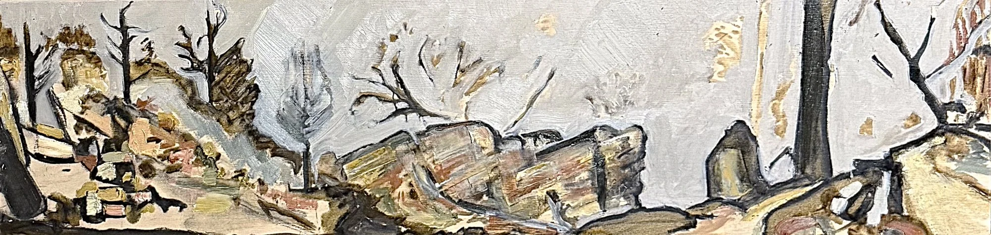  Waterfall panorama II   Oil on board  20x80cm 2026