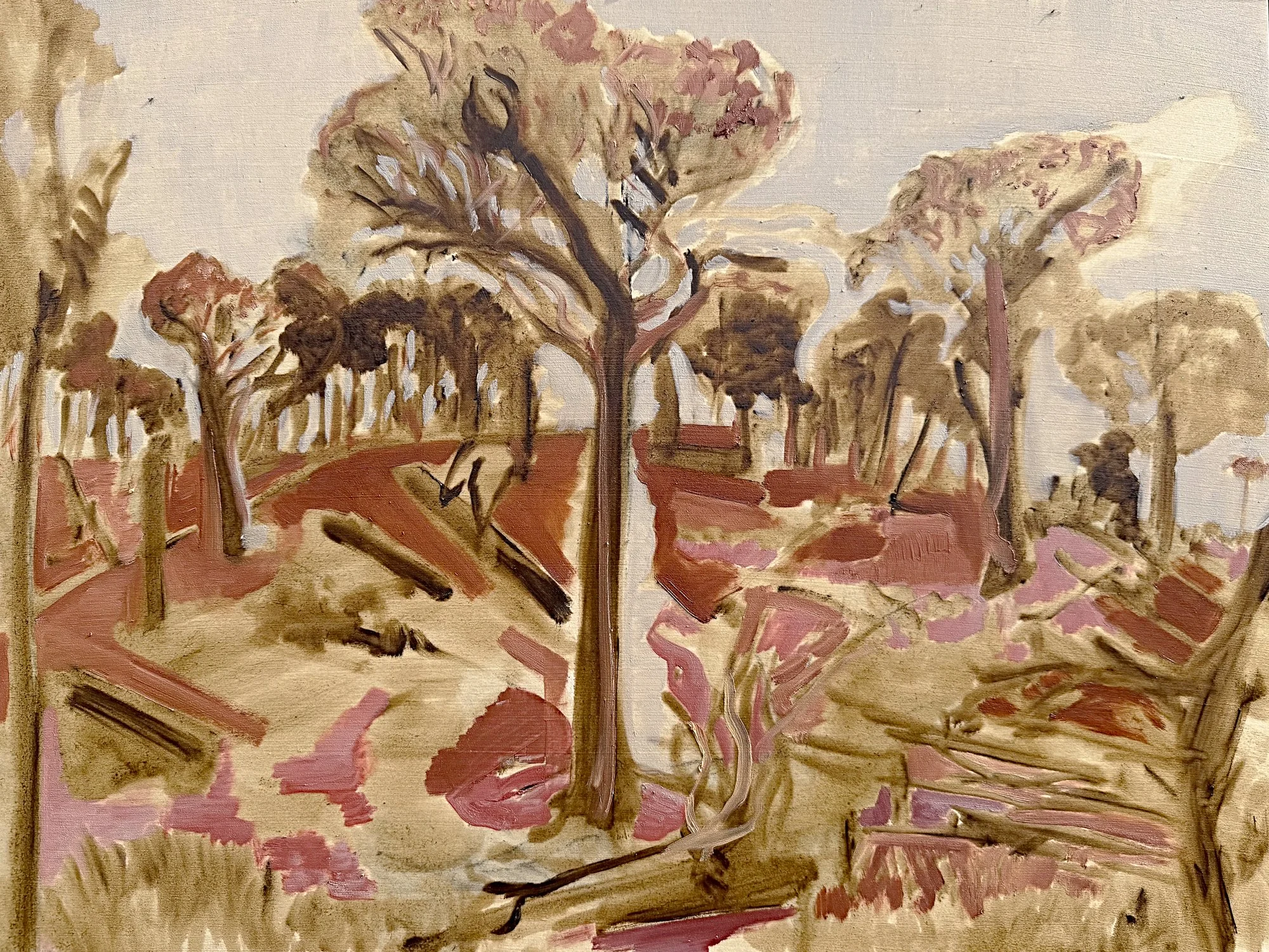  Three Red Stringy Barks   Oil on board  45.5x61cm 2026