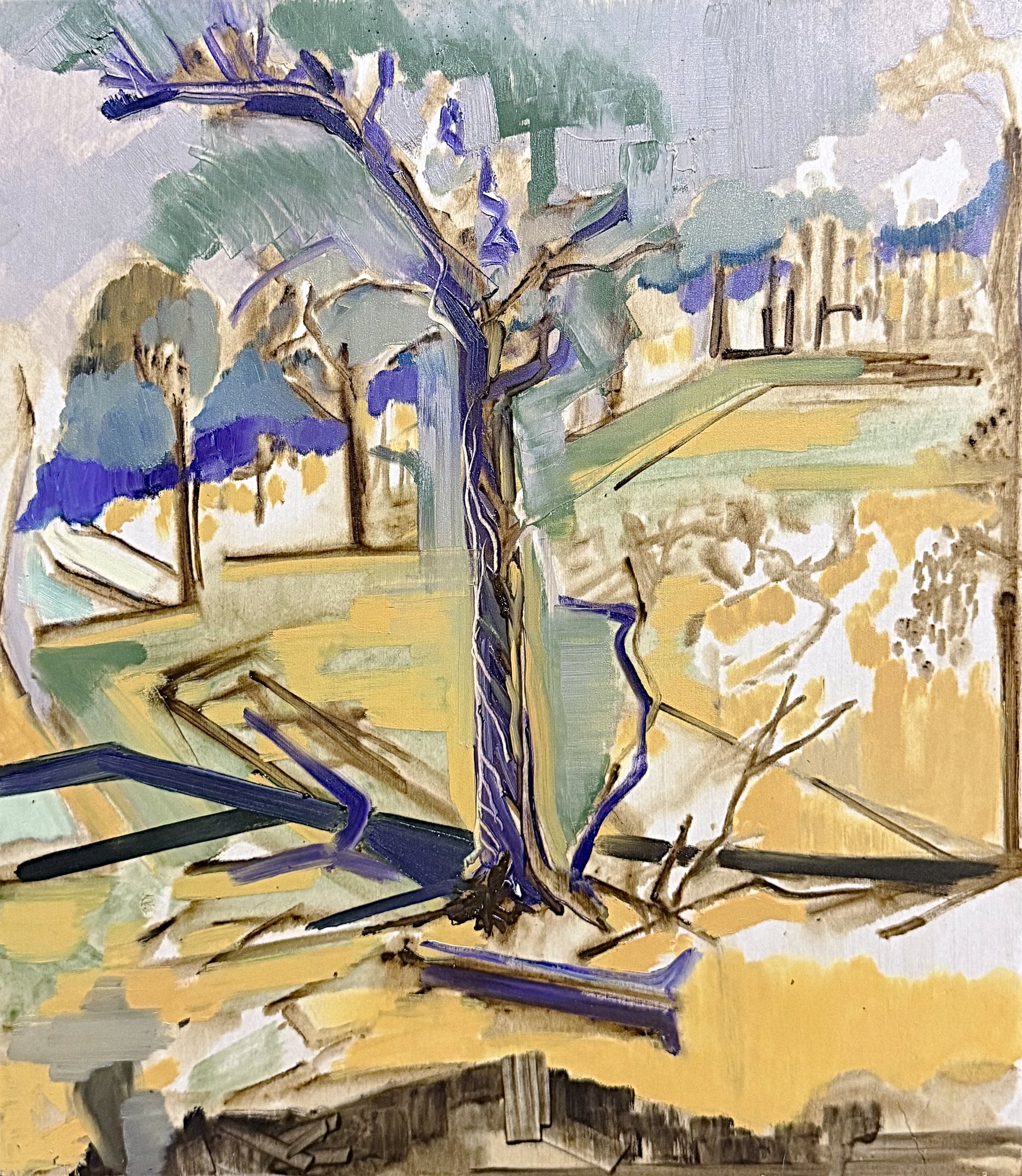  Lone Red Stringy Bark   Oil on board  40x35cm 2026