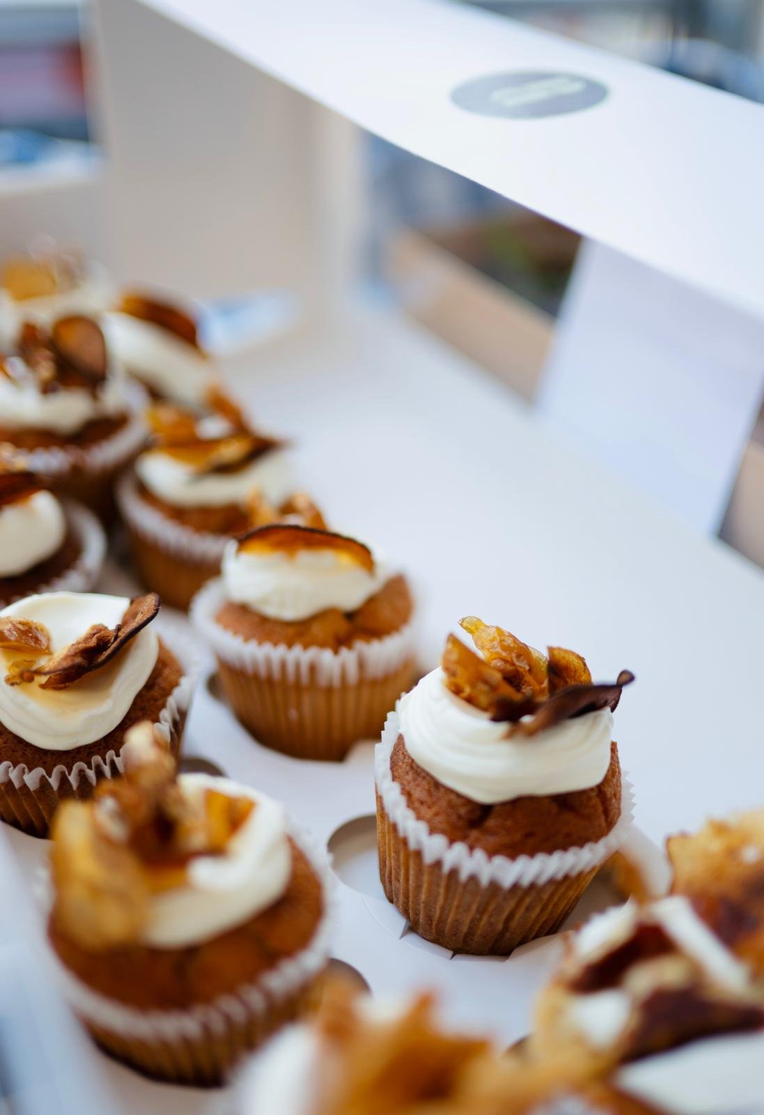 WhatsApp Image 2026-02-06 at 9.59.27 AM.jpeg