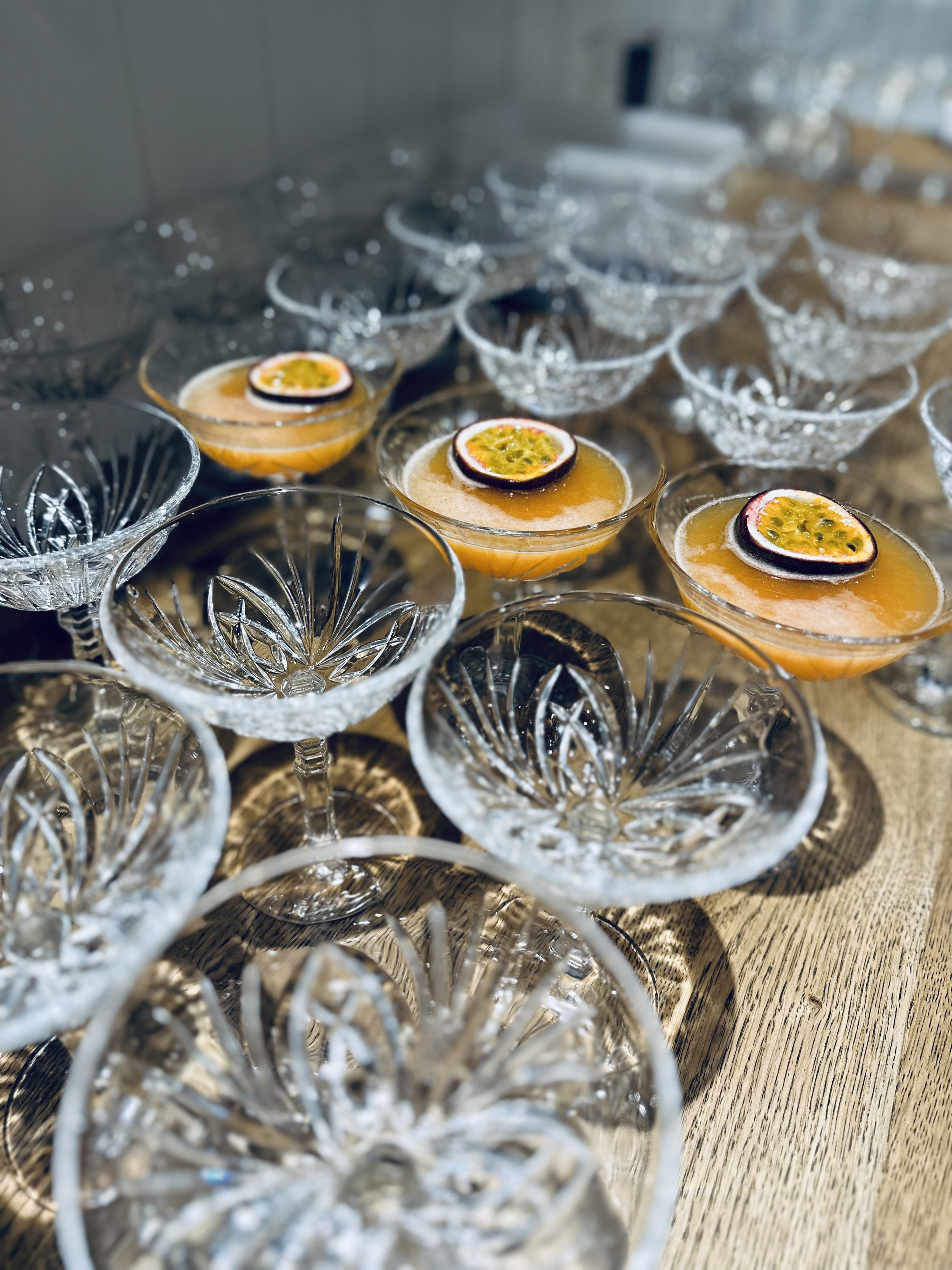 Alice Hudson Cocktail Party