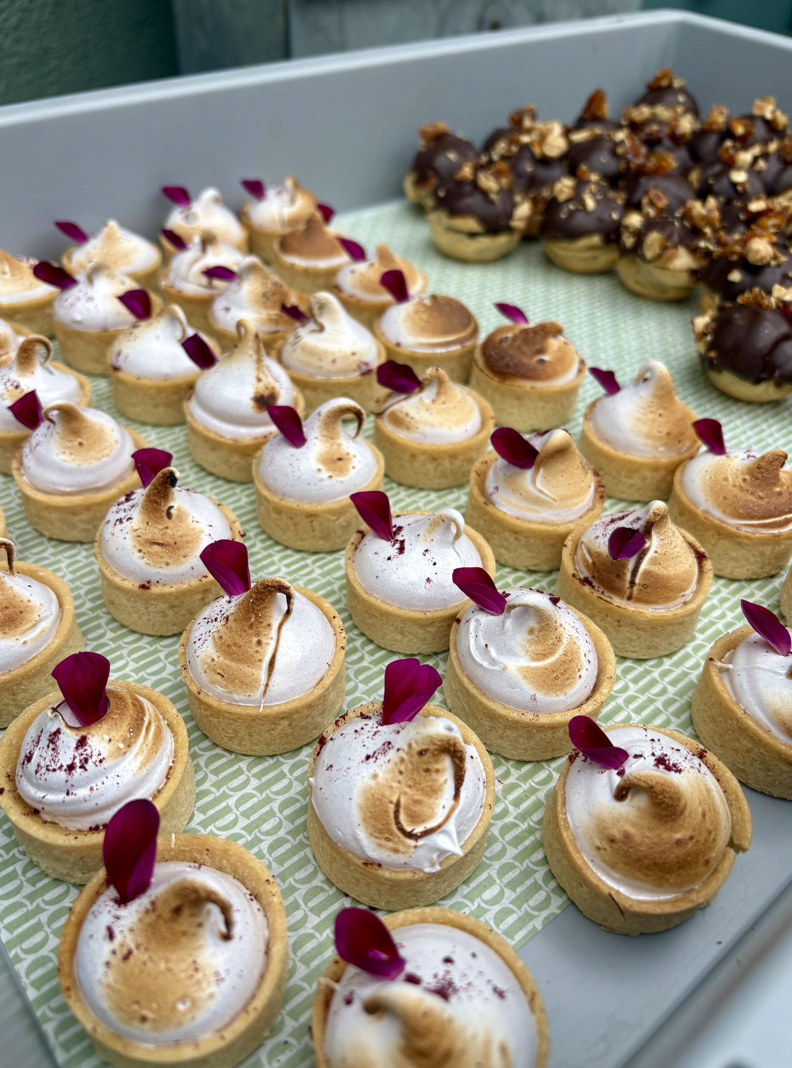 Screenshot 2026-02-06 at 10.06.23.png (Copy)