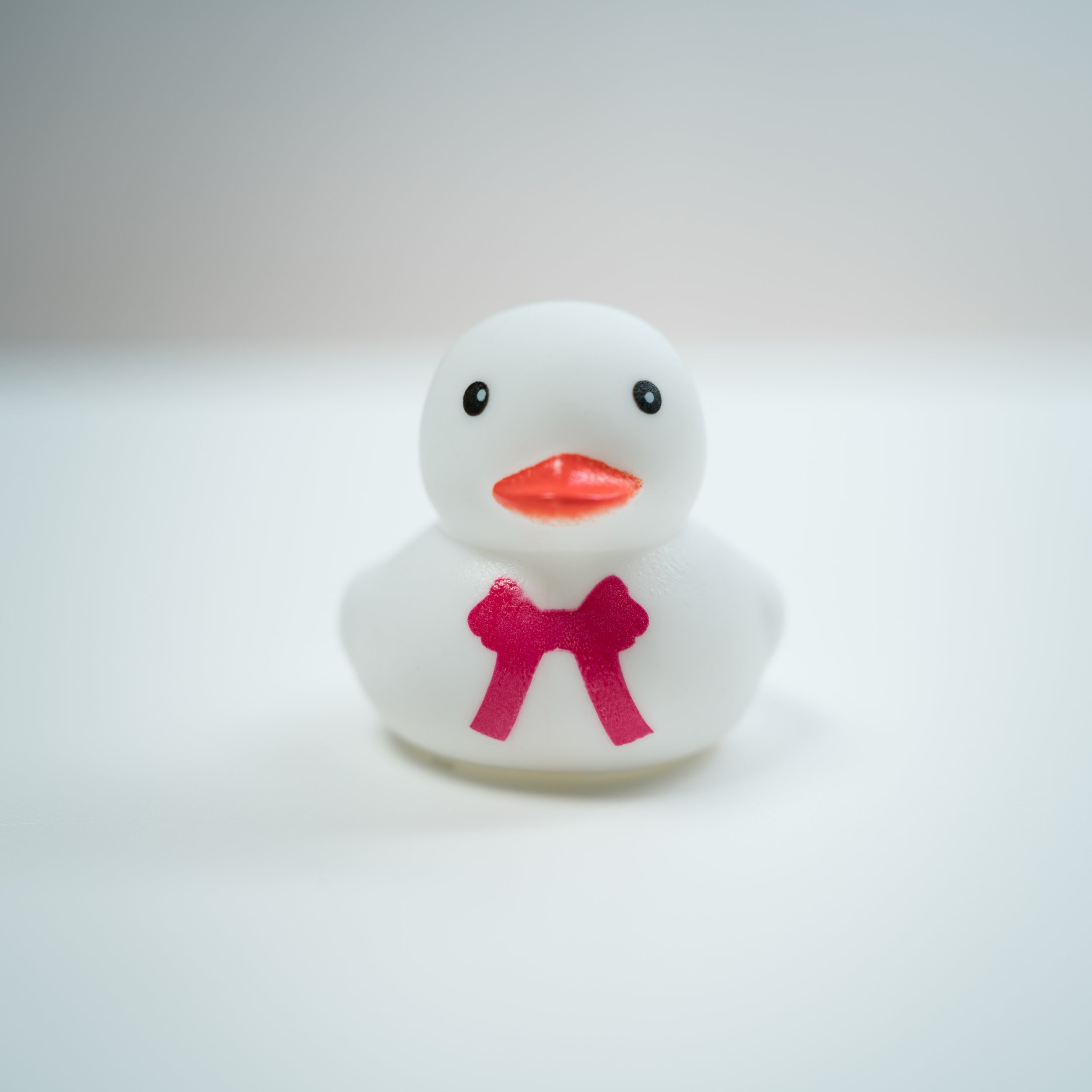 Rubber Ducks-2.jpg