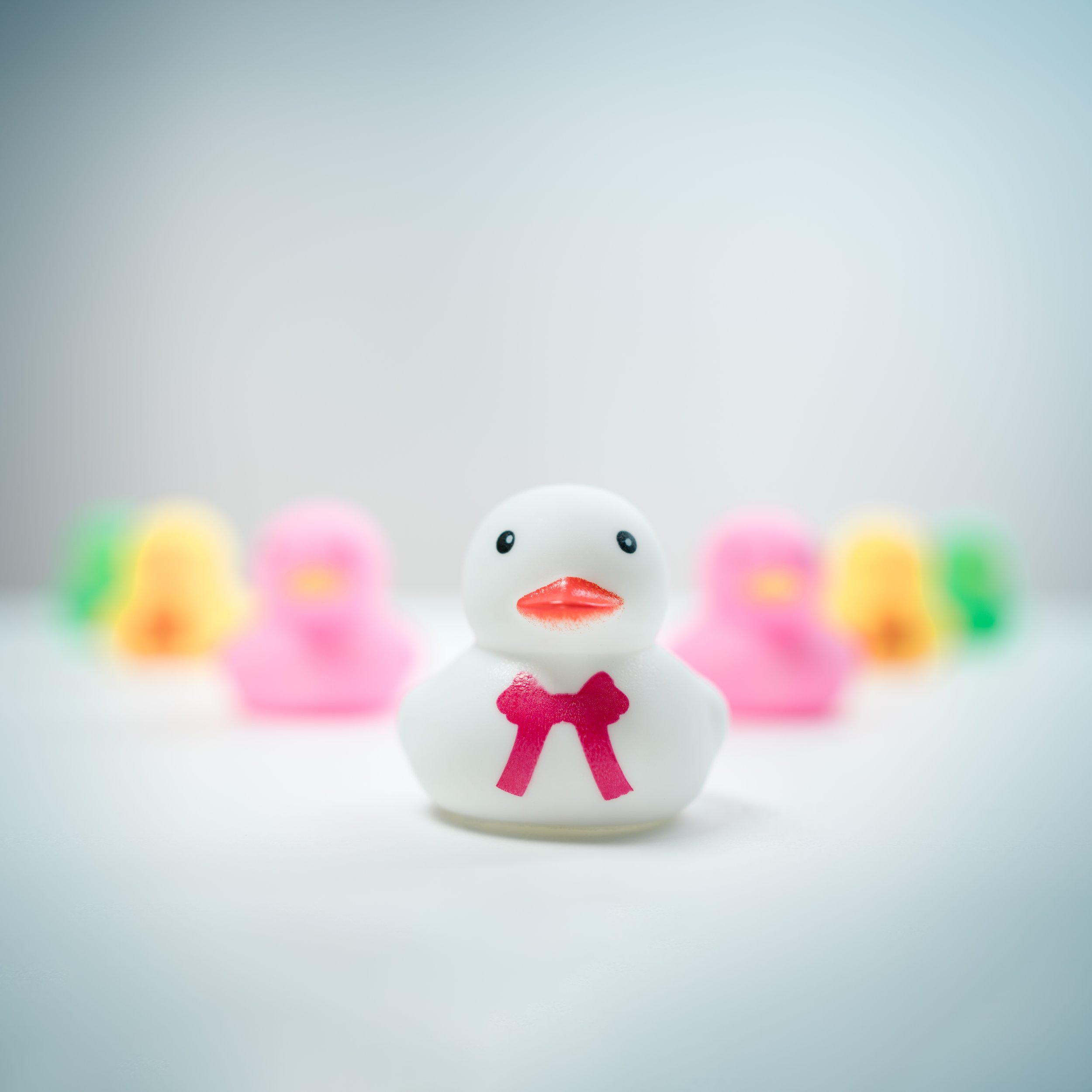 Rubber Ducks-1.jpg