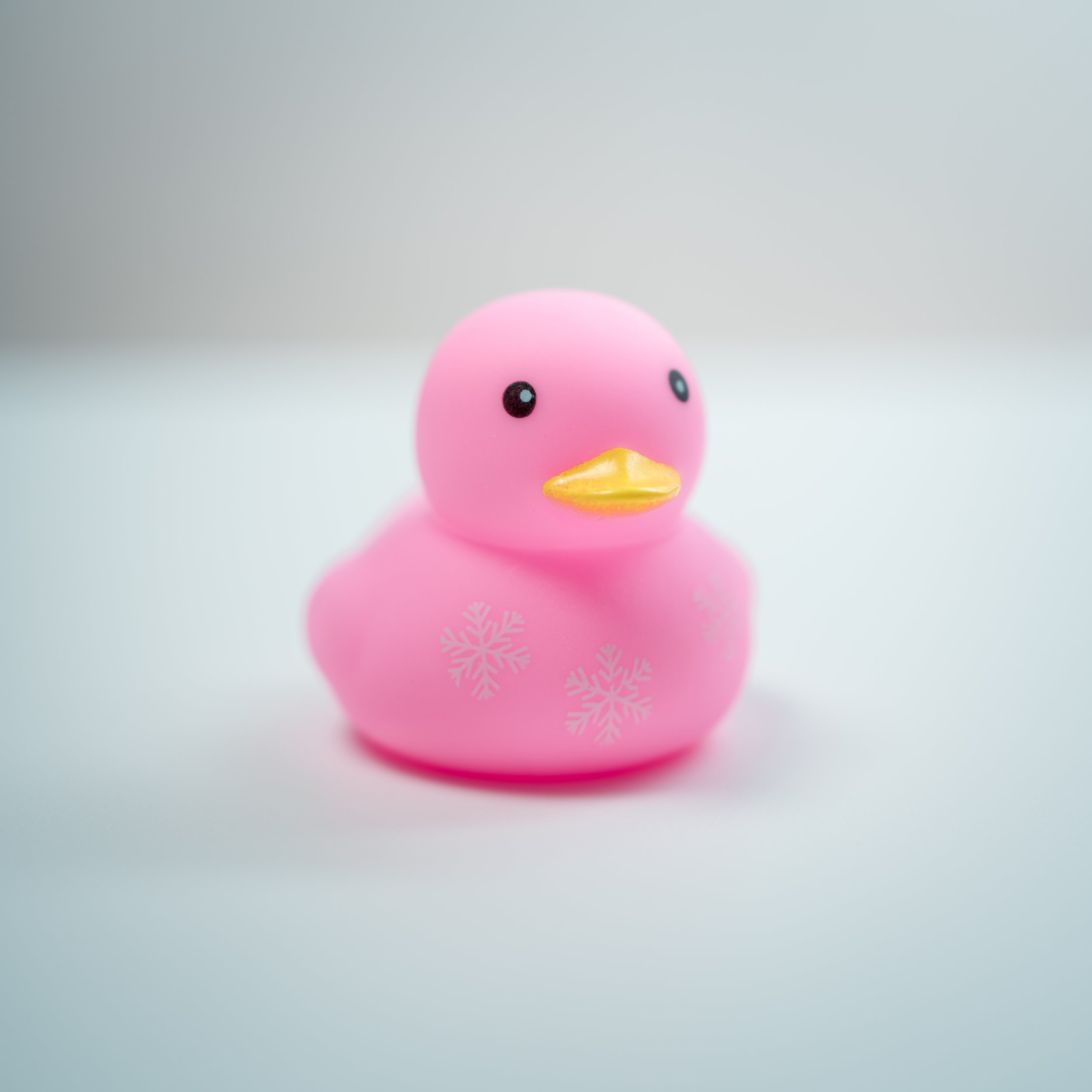 Rubber Ducks-3.jpg