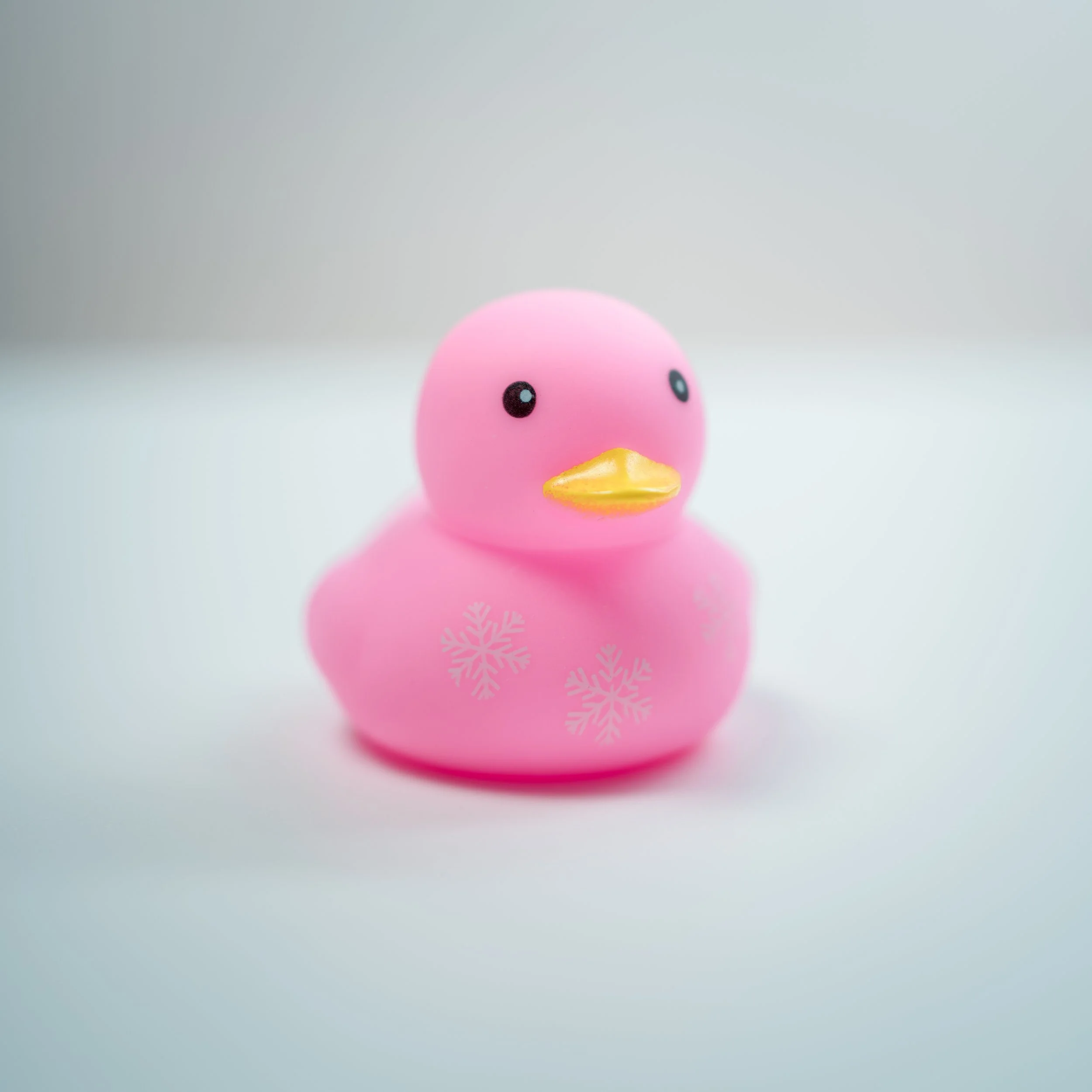 Rubber Ducks-3.jpg