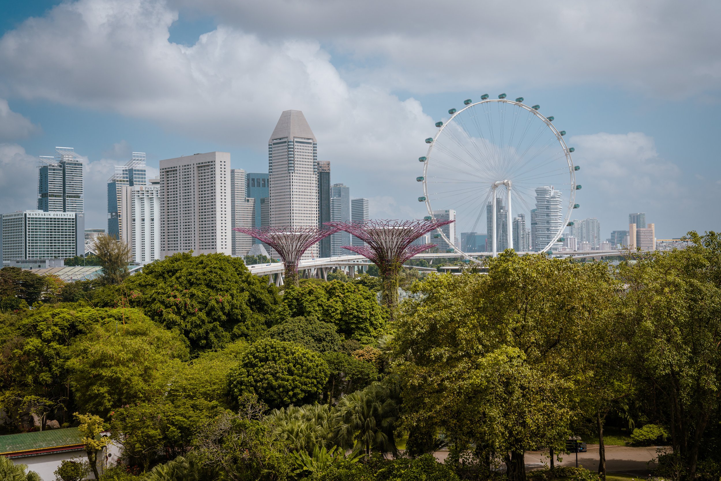 Singapore 2023-7.jpg