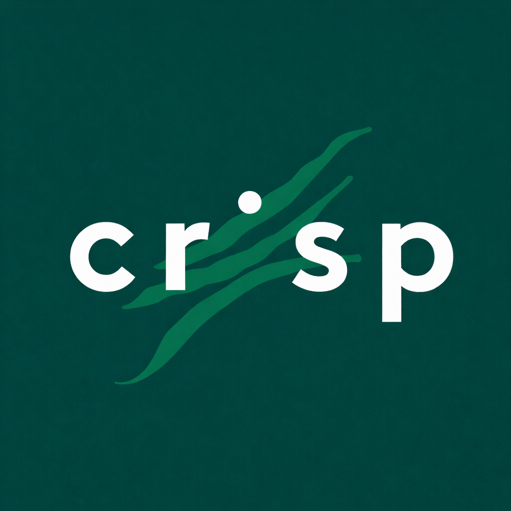 Crisp | graphic, packaging, illustrations, campaigns