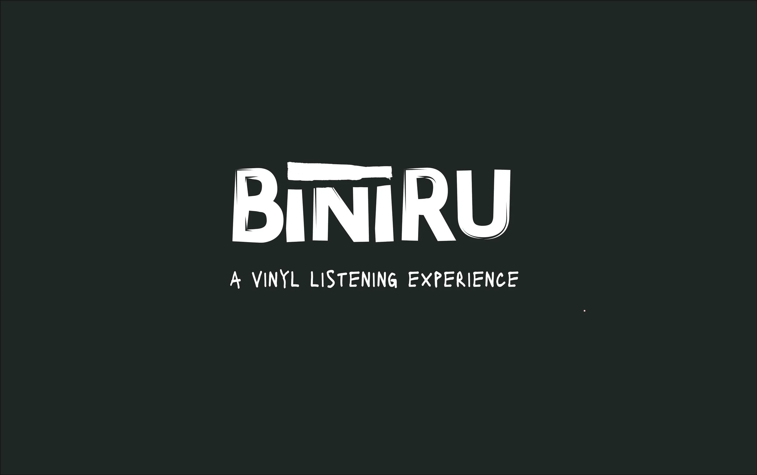 Biniru | branding and photography