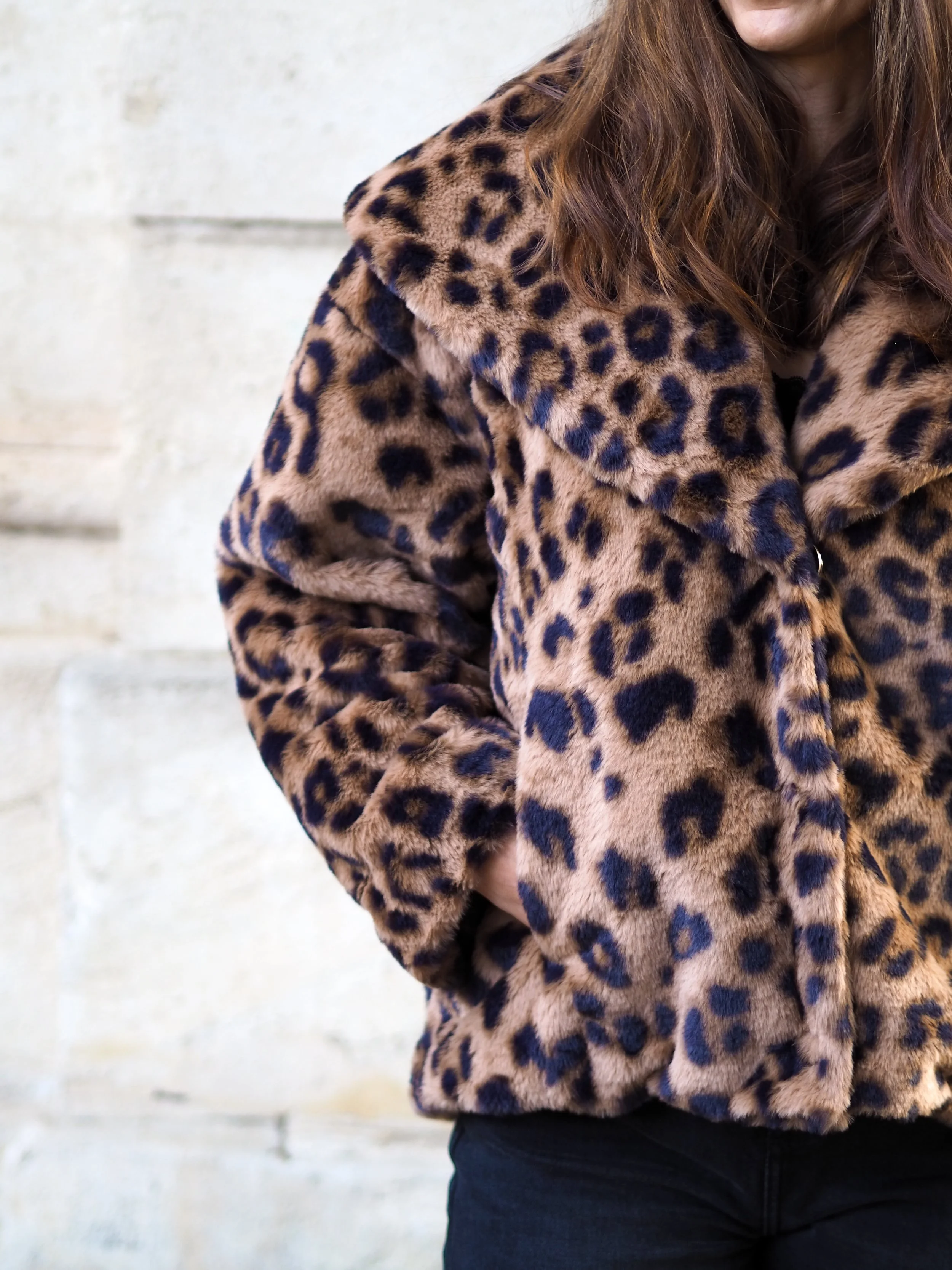 PB160352.JPG