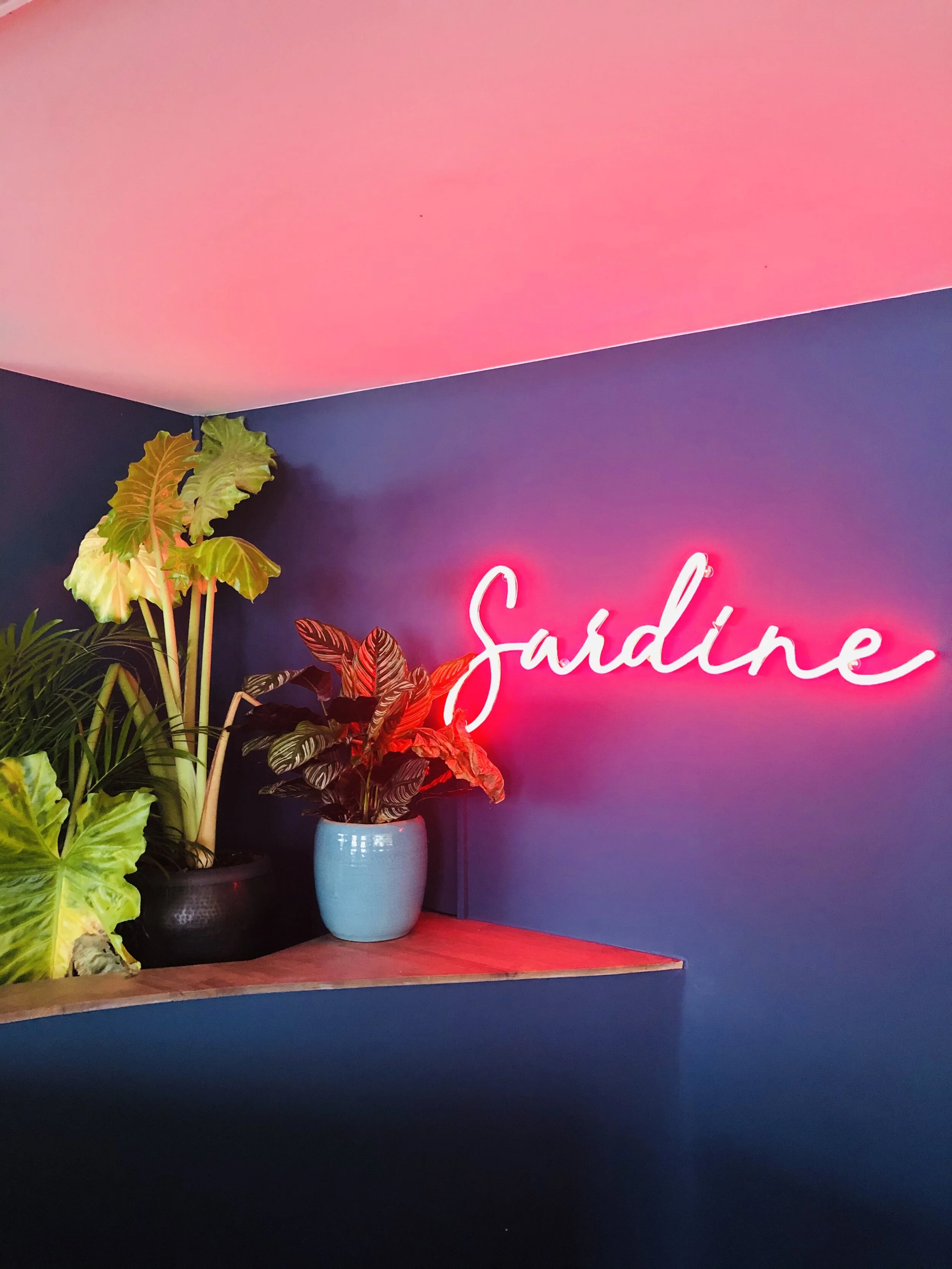 Une boîte à Sardine ? Non Sardine tout court !