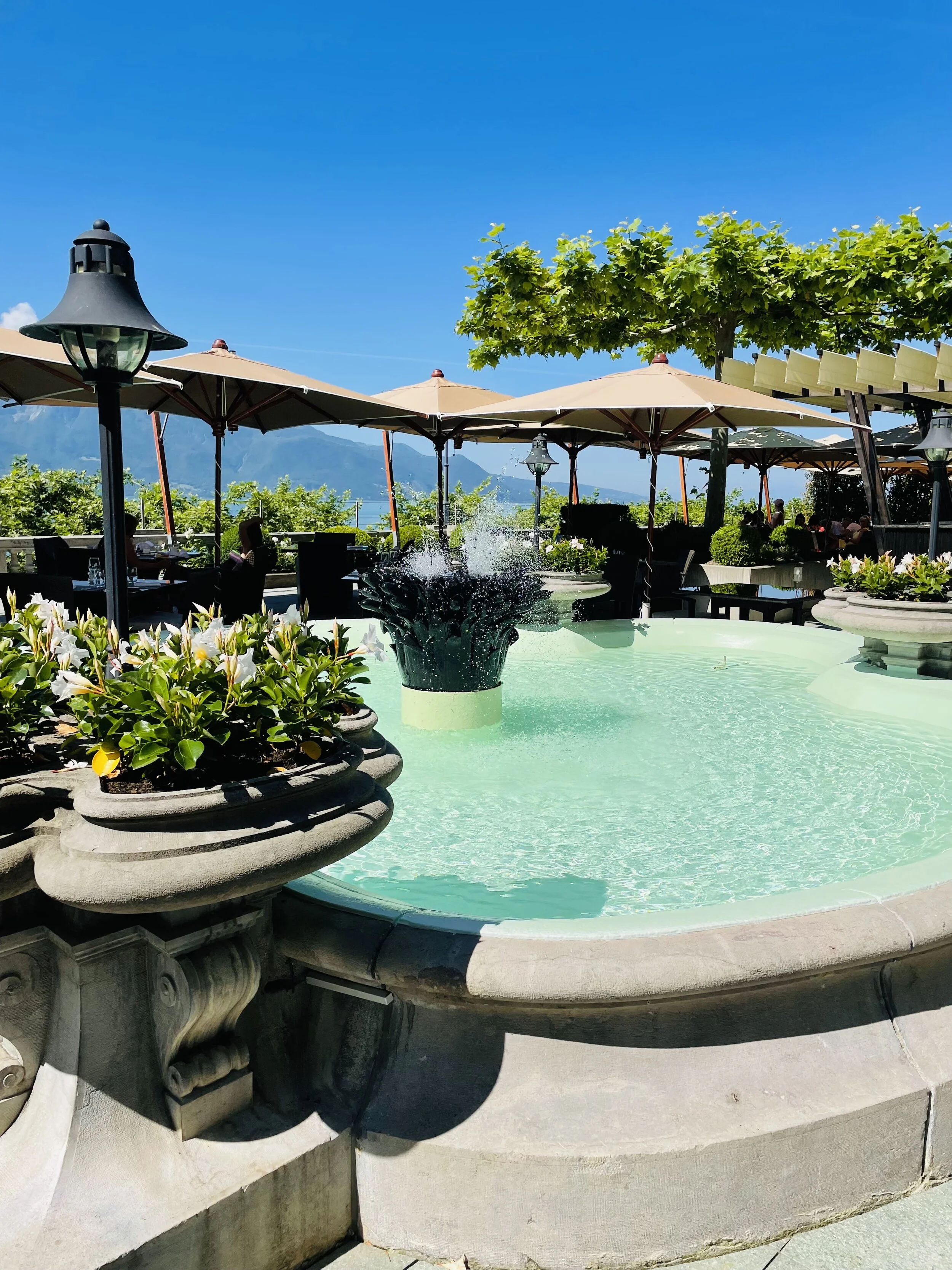 La fontaine, la terrasse &amp; Camille Saint-Saëns