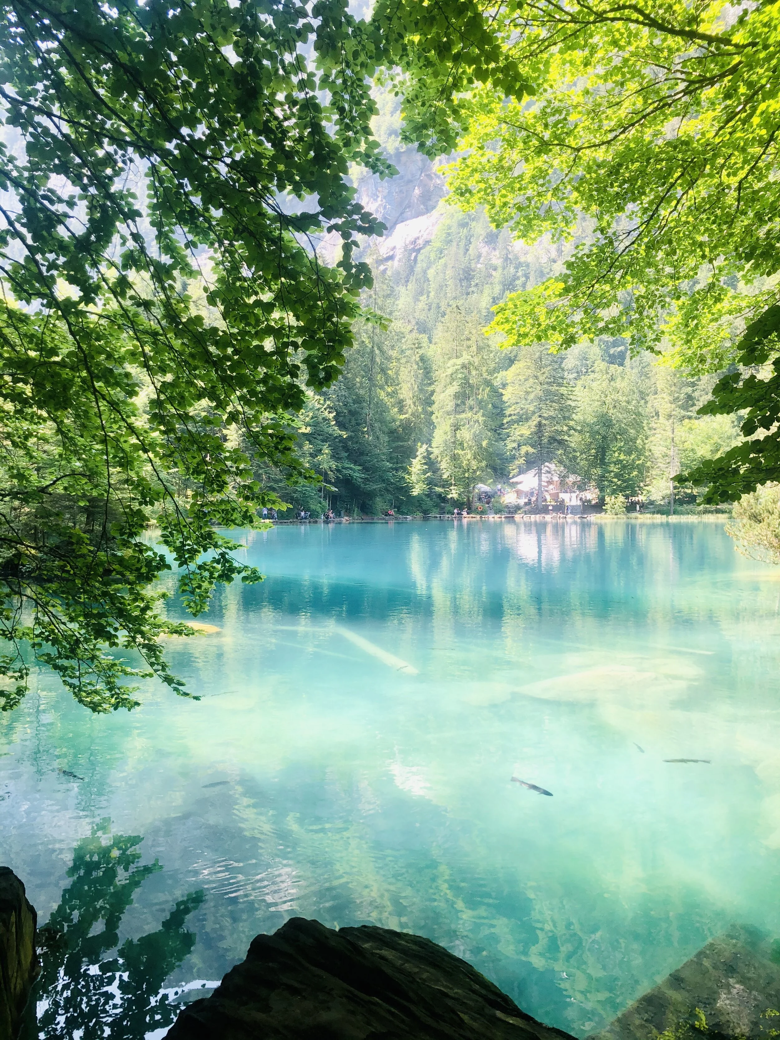 La légende dit ....