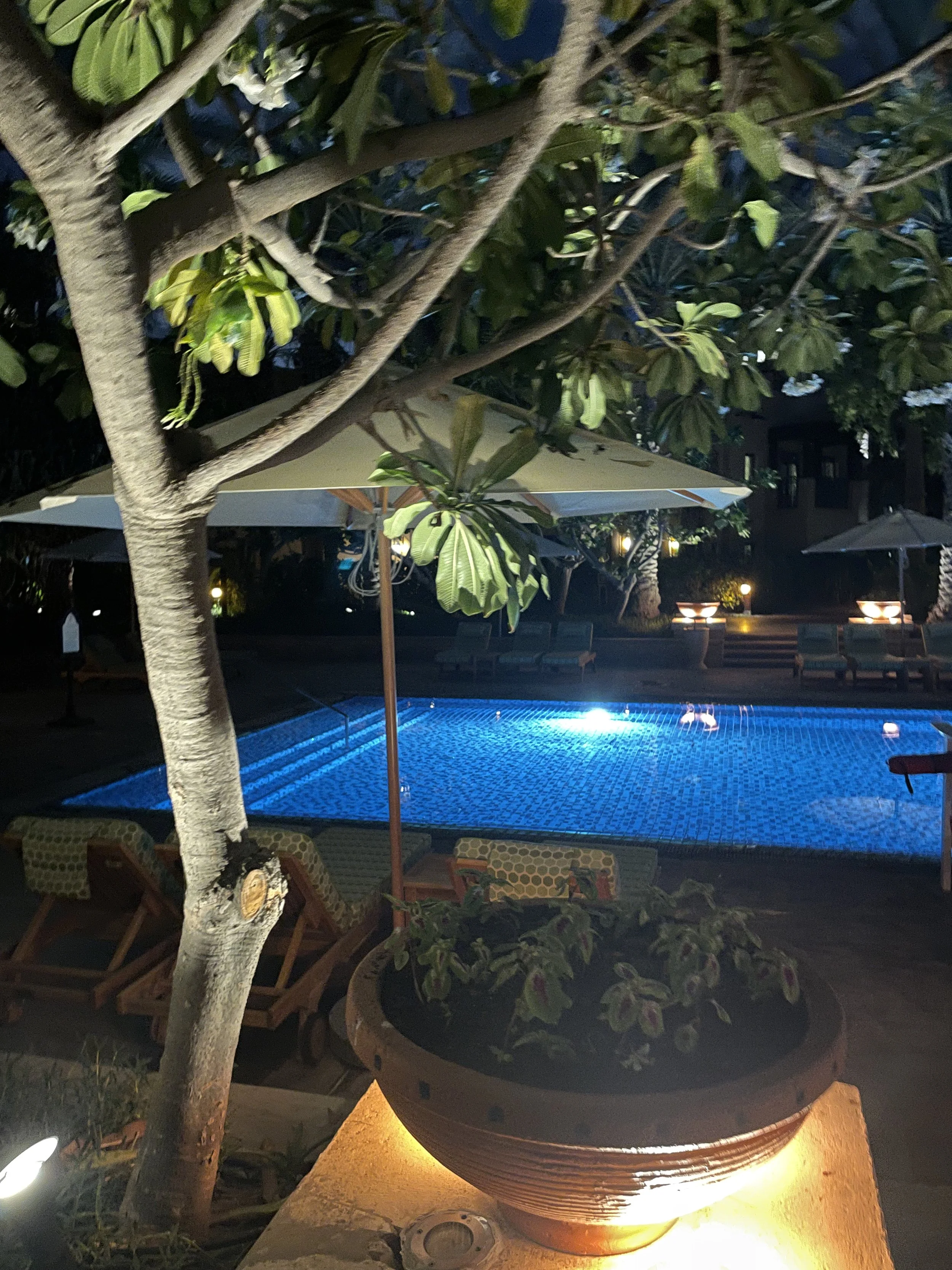 IMG_6948 2.jpeg