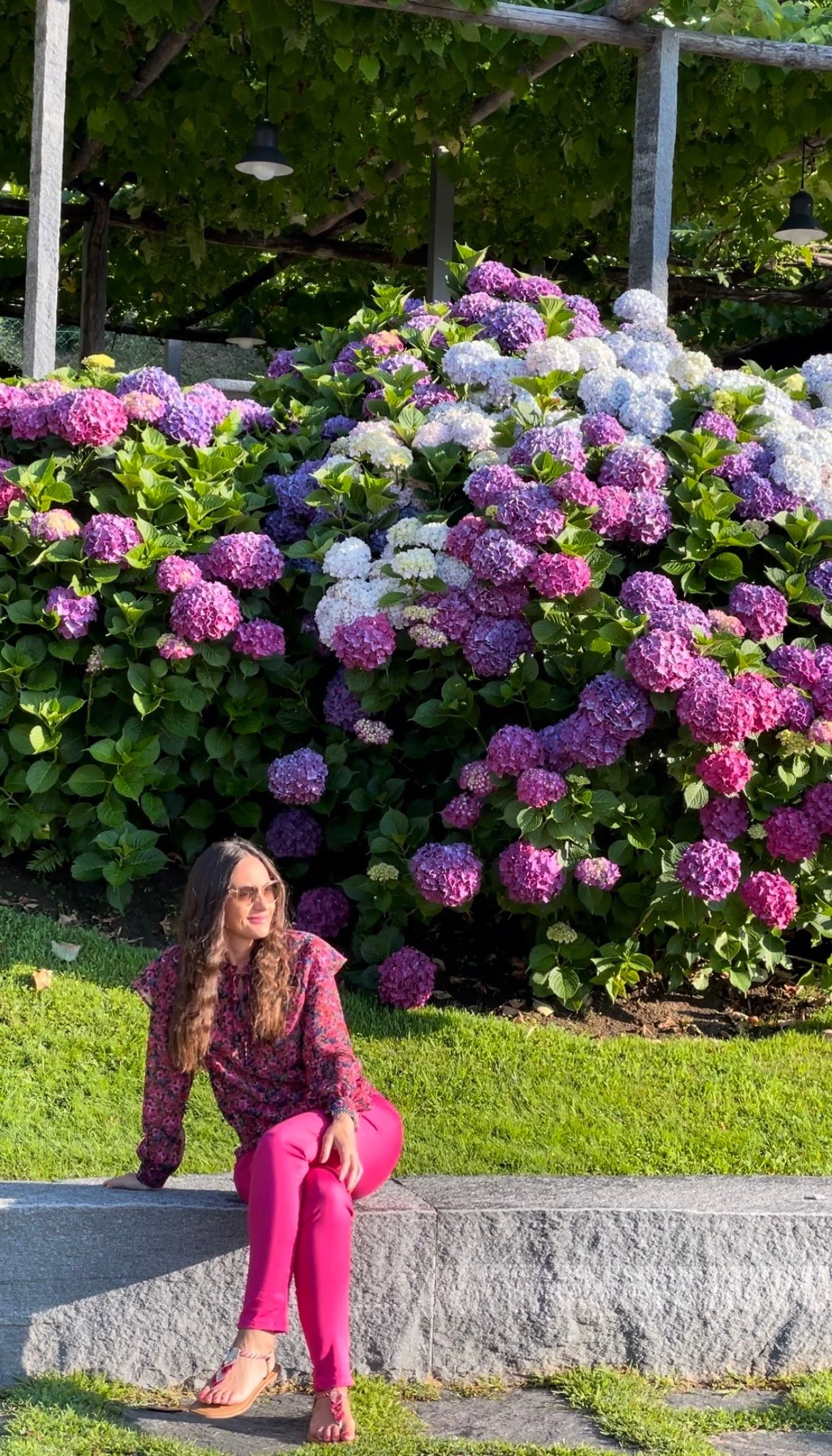 L'univers du Belvedere