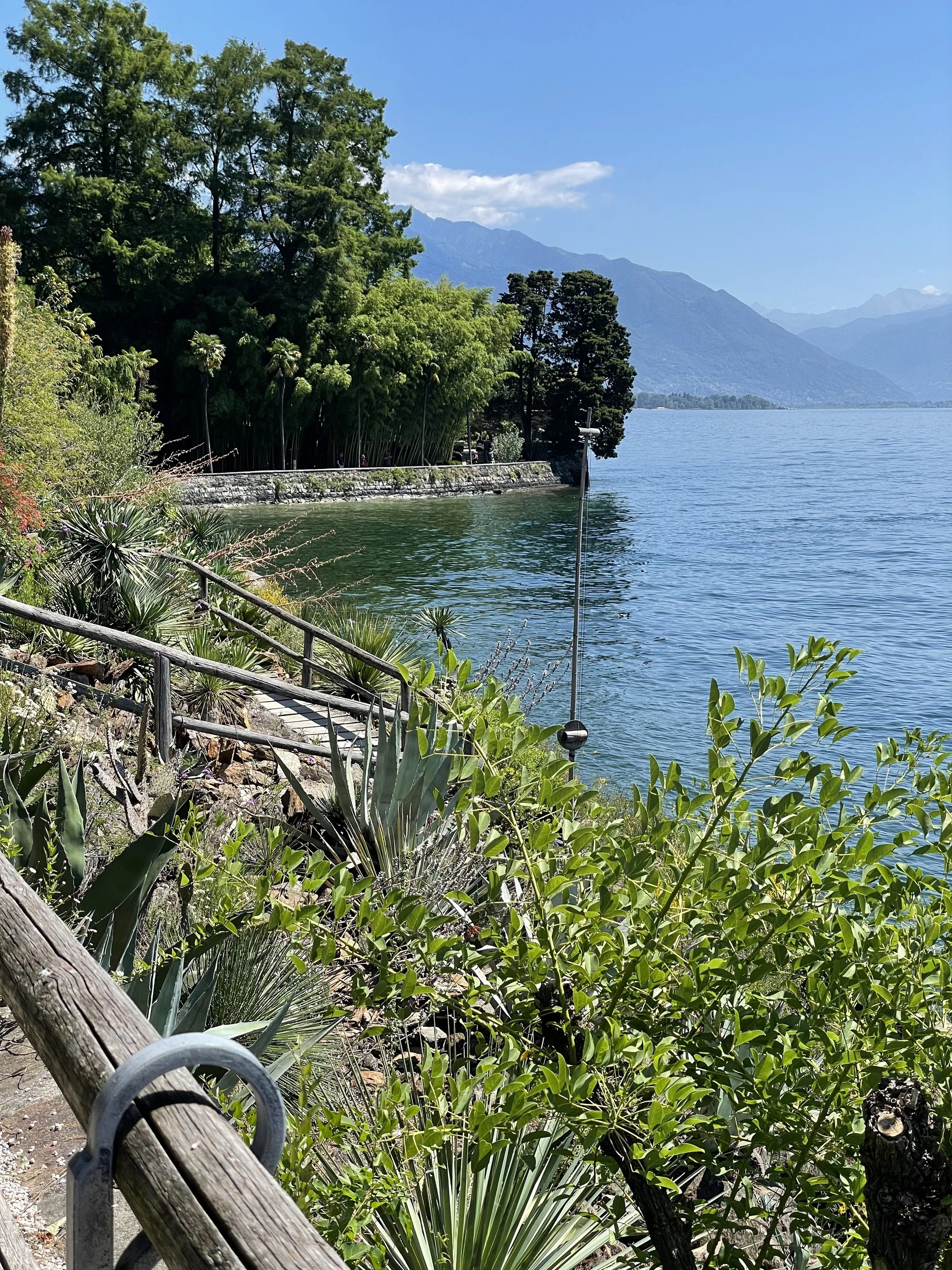 IMG_9900.jpeg