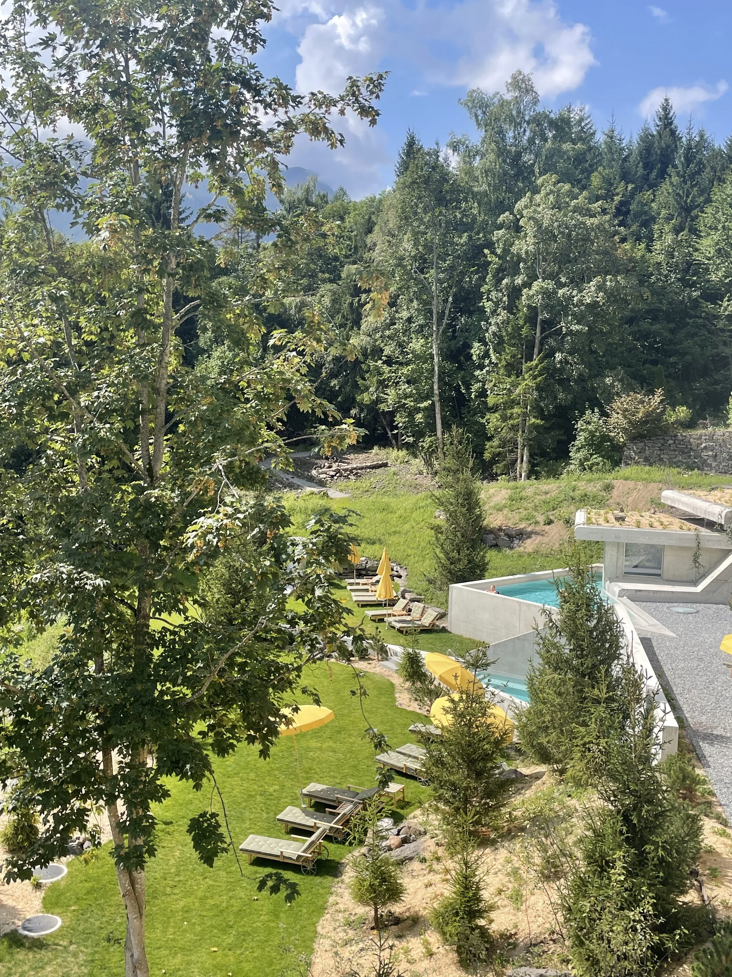 IMG_7041.jpeg