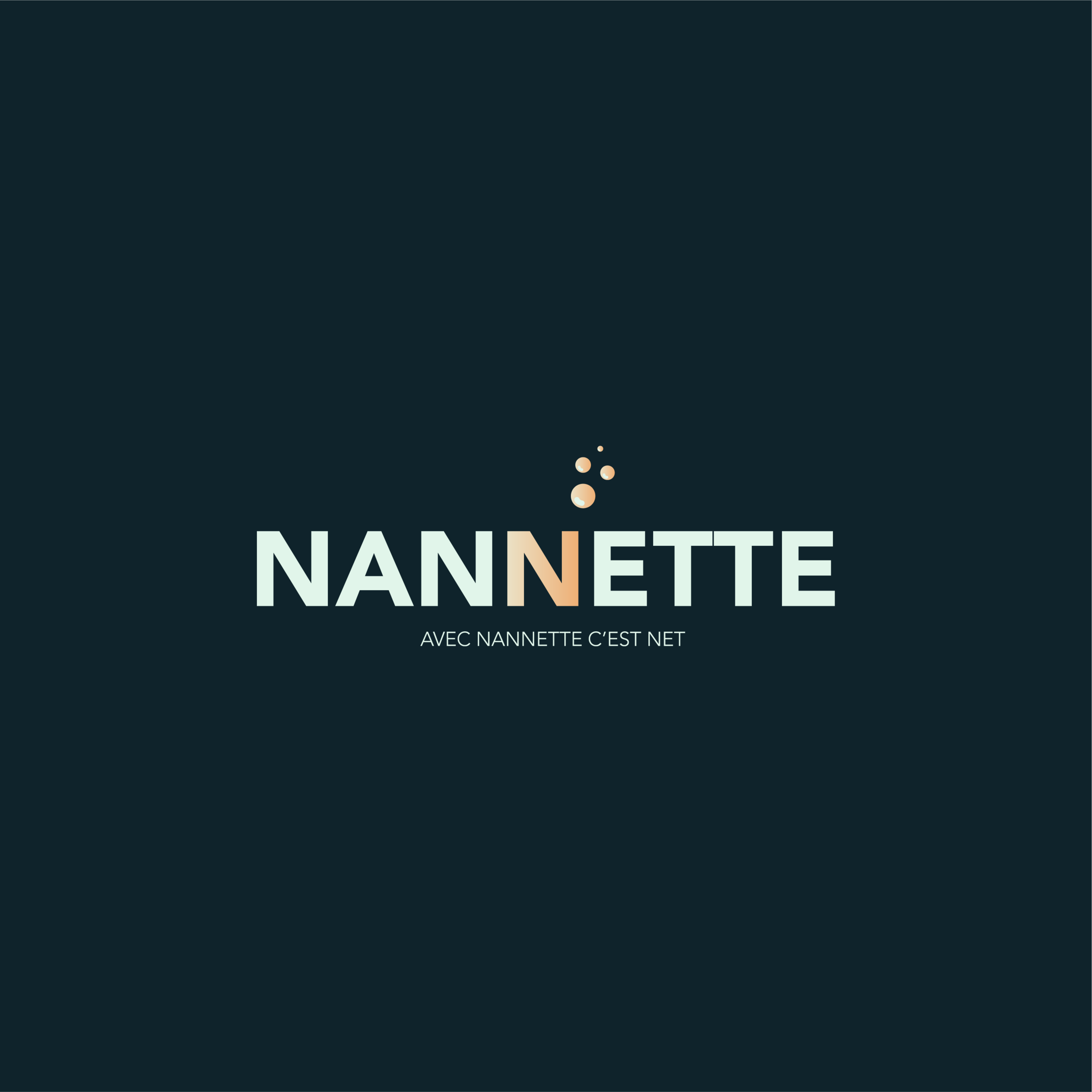 nannette logo.png