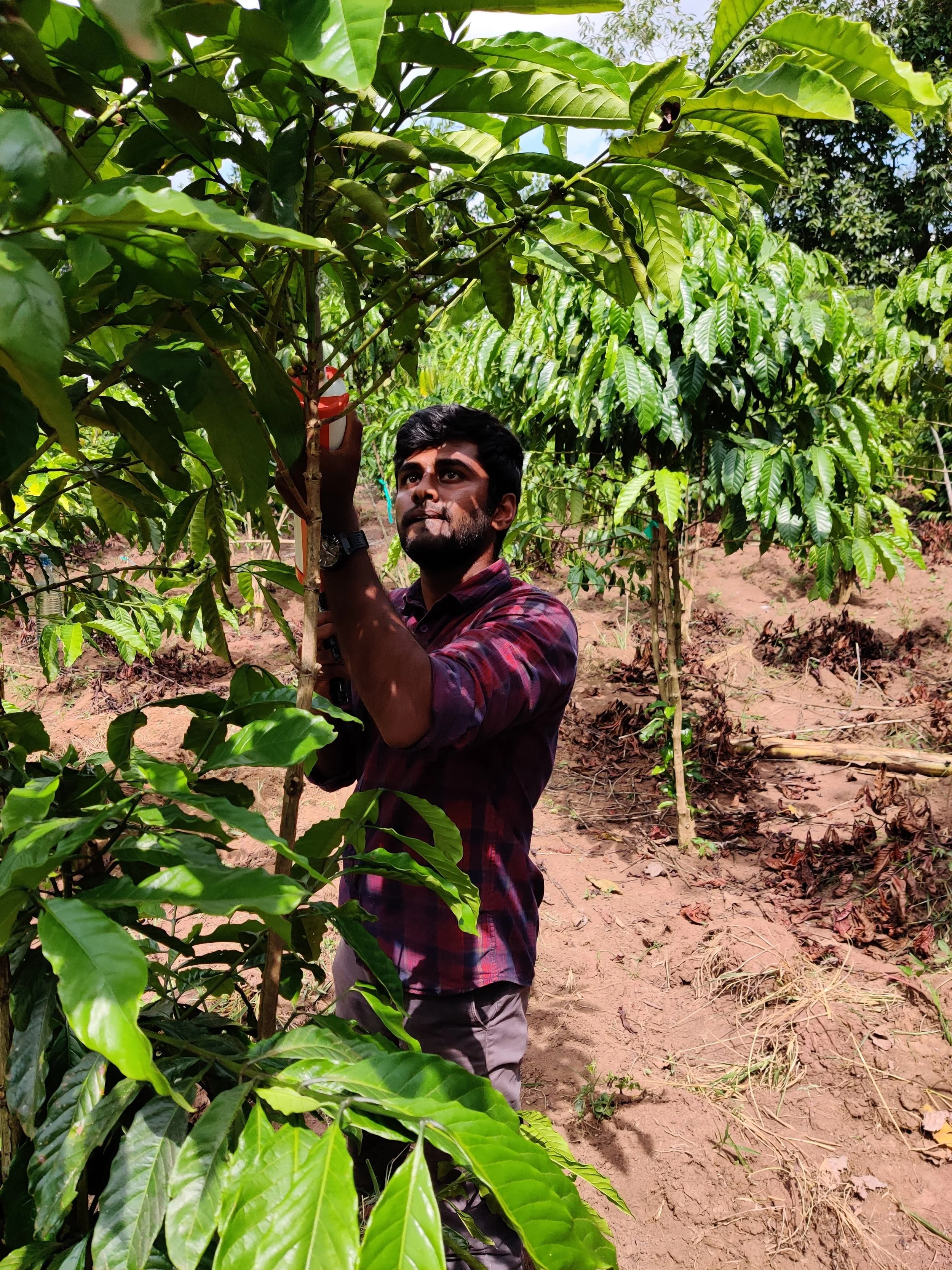 Student Internships — Sustainable coffee shop with social impact