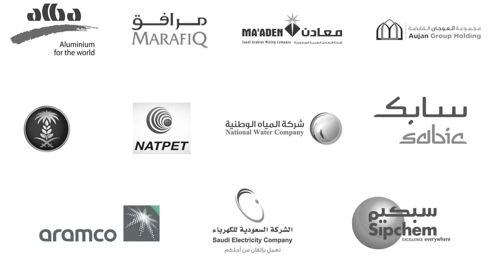 Technology Solutions — Aujan Industrial Solutions