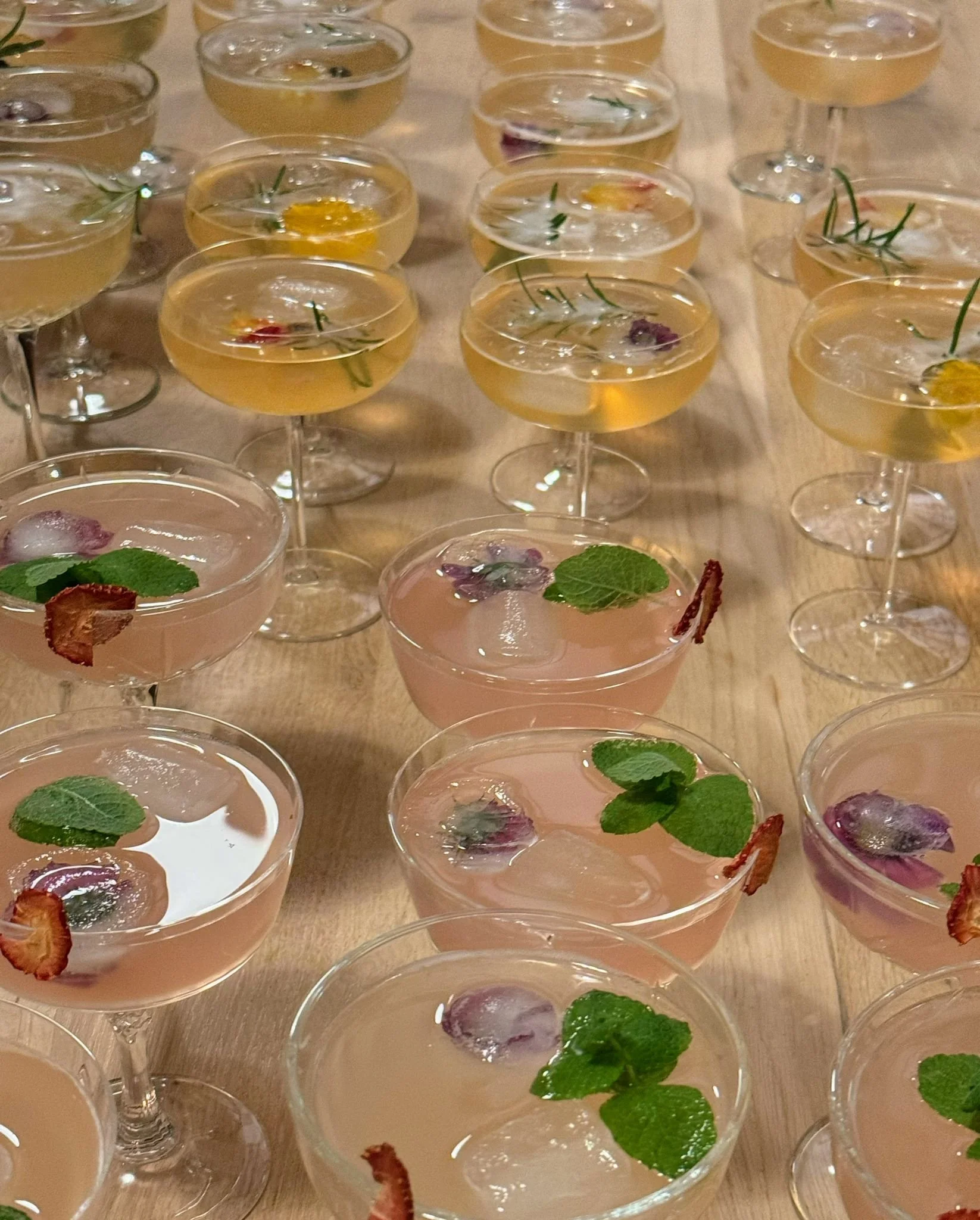 WhatsApp Image 2024-11-23 at 22.29.23.jpeg