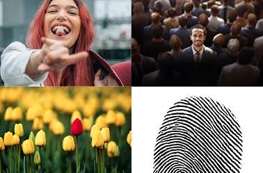 11. individual_unique.jpg