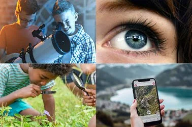 12. discover_curious.jpg