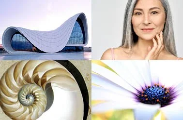 23. beauty_esthetics.jpg