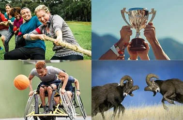 15. challenge_winning.jpg