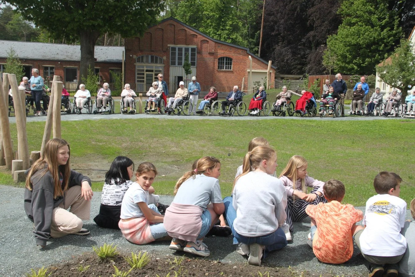 De dennen dwaaltuin.jpeg