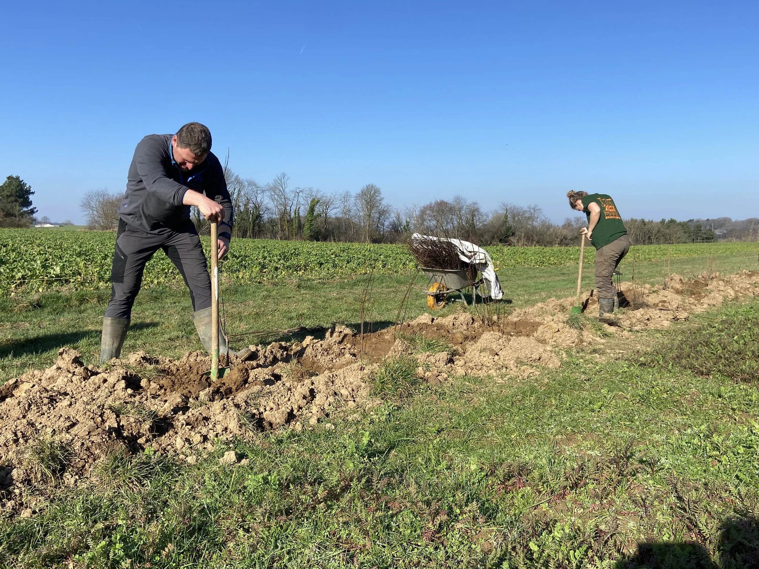 Handen uit de mouwen voor ons regeneratief voedselexperiment Steyneveld  ©overlant