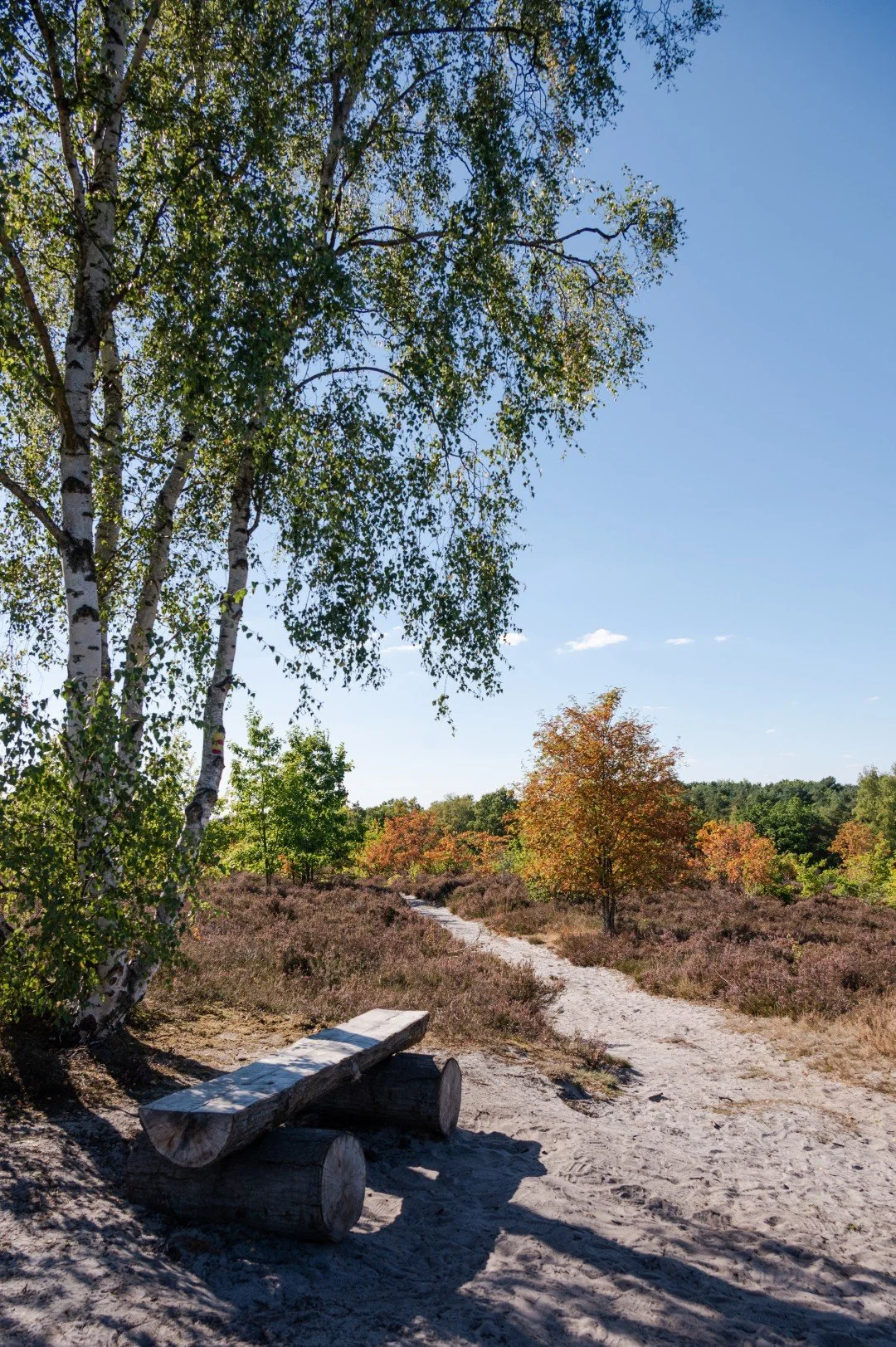 Herkenbare rustplekken langsheen de wandelroute doorheen de heide