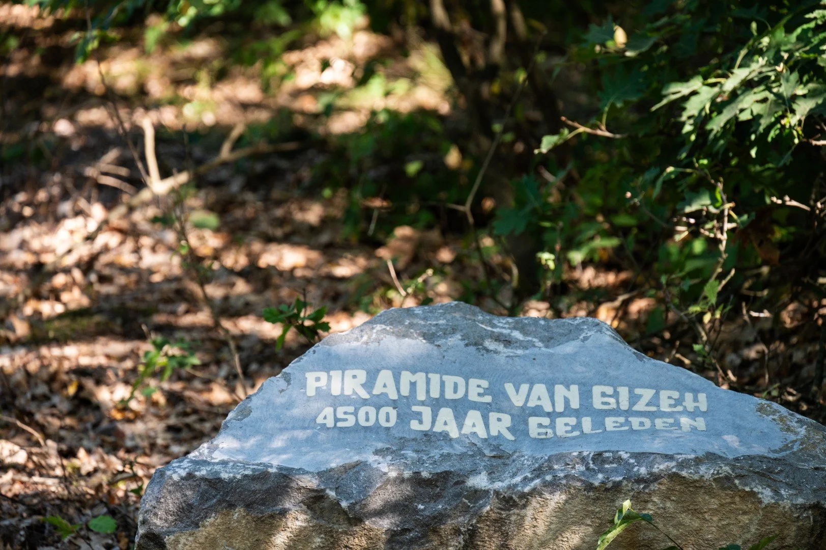 Afdalen in de tijd