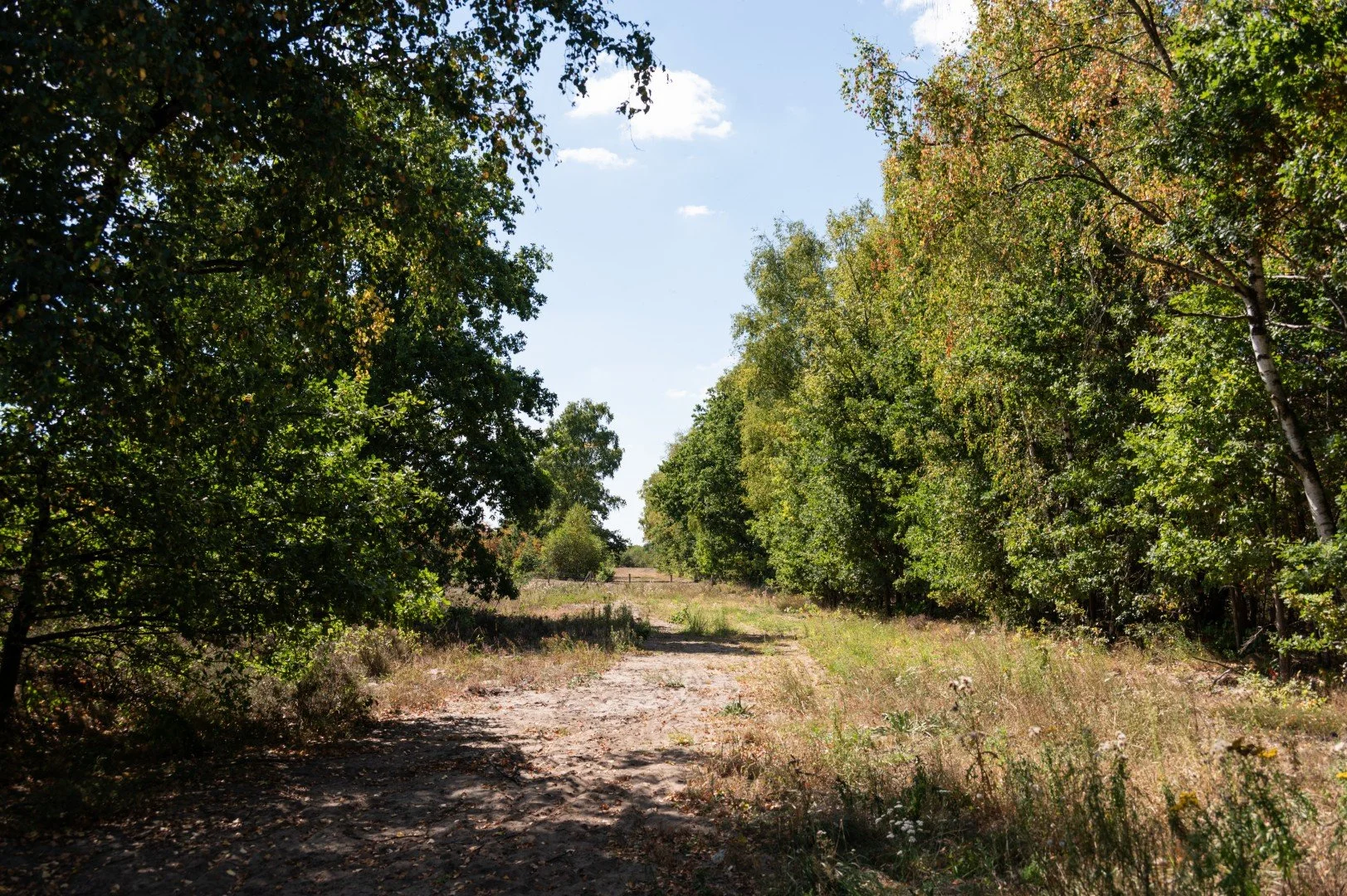 De rijweg die het natuurgebied doorsneed werd opgebroken en de vrijgekomen ruimte werd terug gegeven aan de natuur. Het rendierjagerspad wordt via een bestaande weg met een nieuwe onthaalparking aan de rand van het gebied ontsloten.