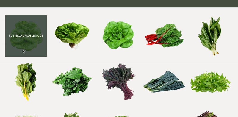 farmiaproduce.gif