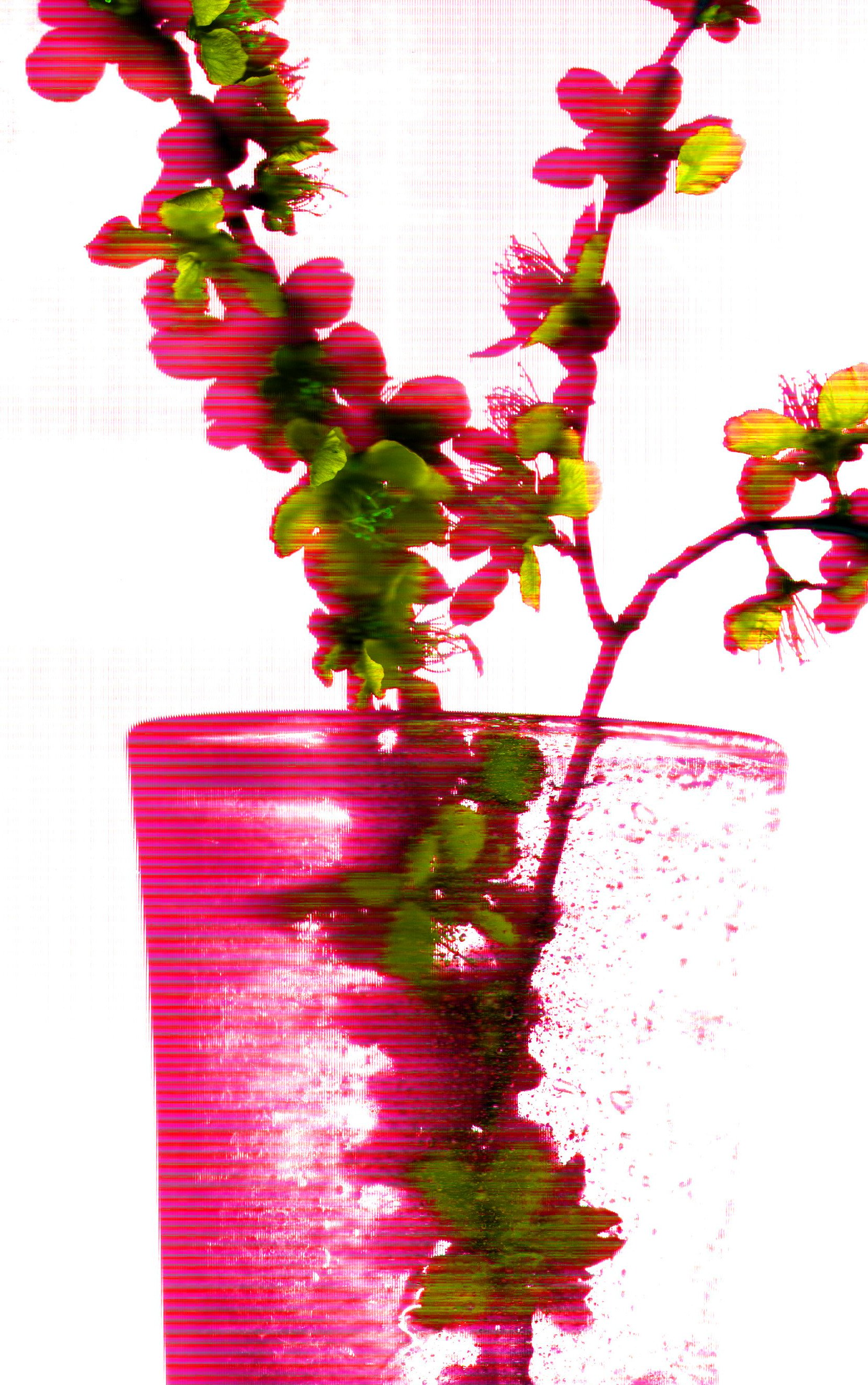 vase zoom.jpg