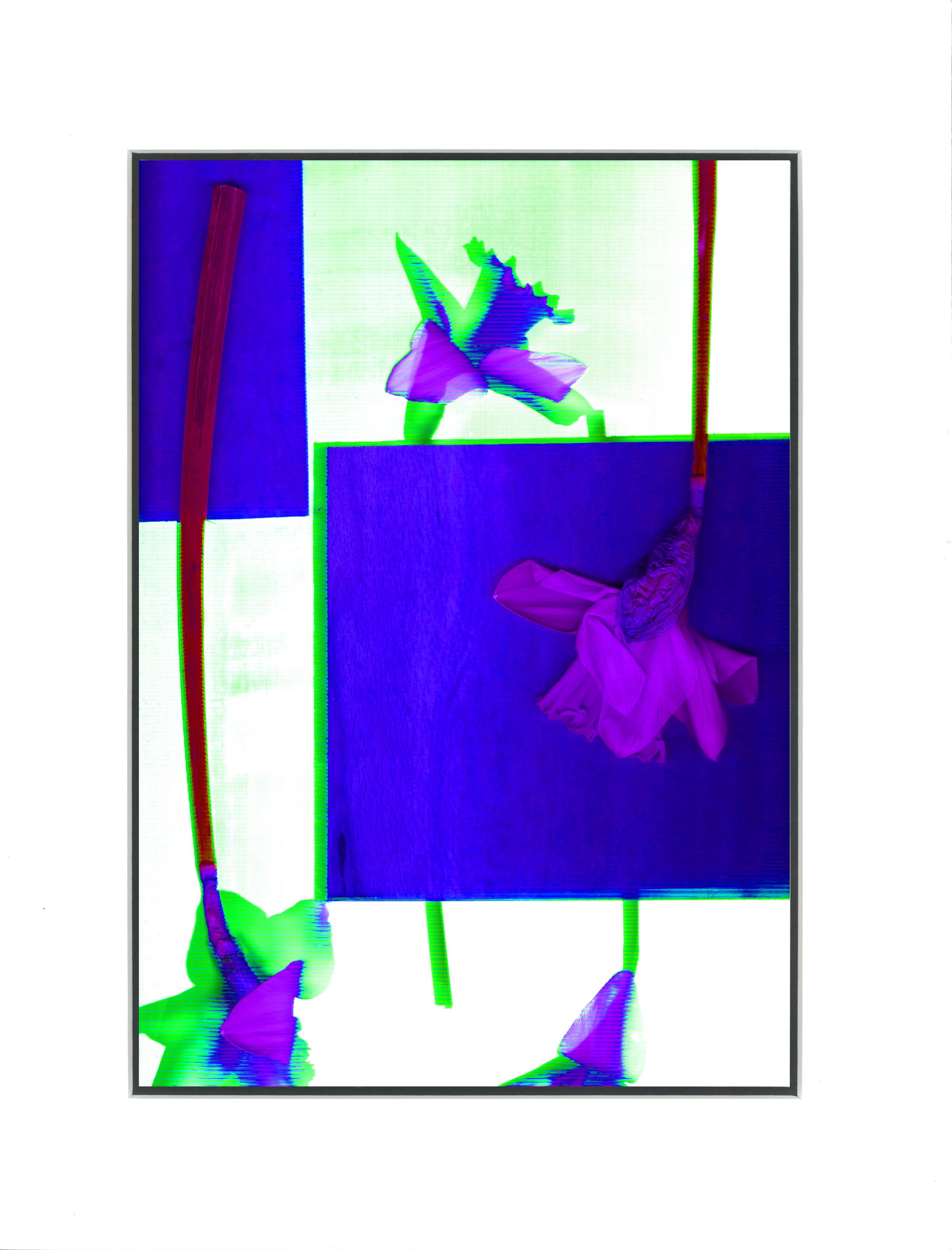 daffs blue.jpg