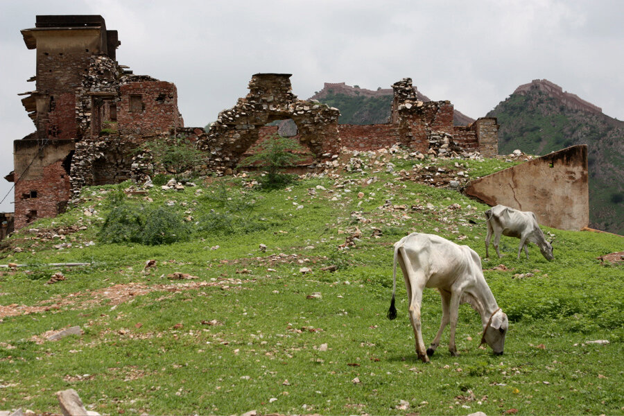 INDIA - 34.jpg