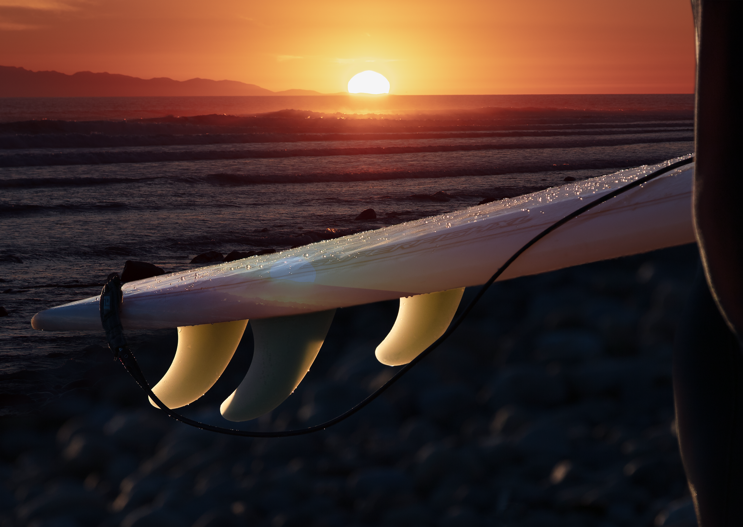 SURFER SUNSET MSTR WEB.png