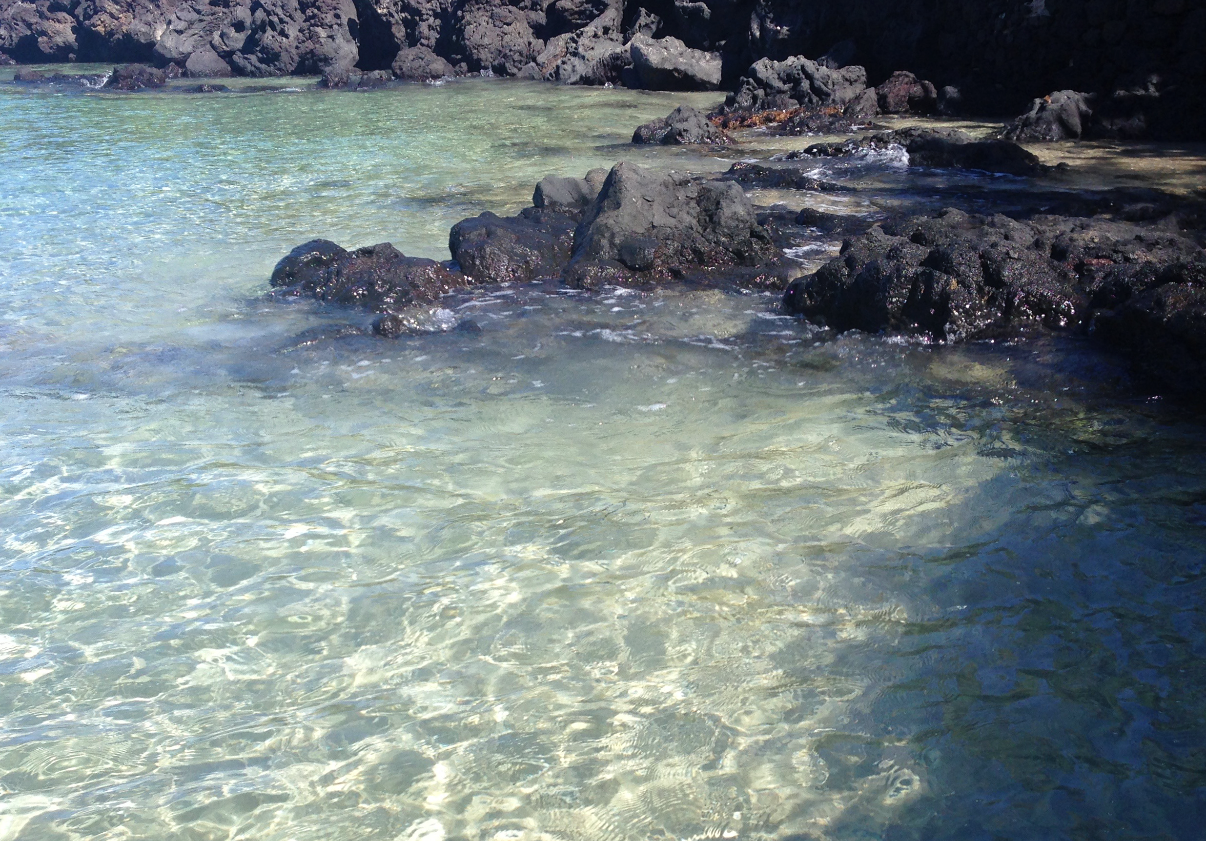 Big Island.png